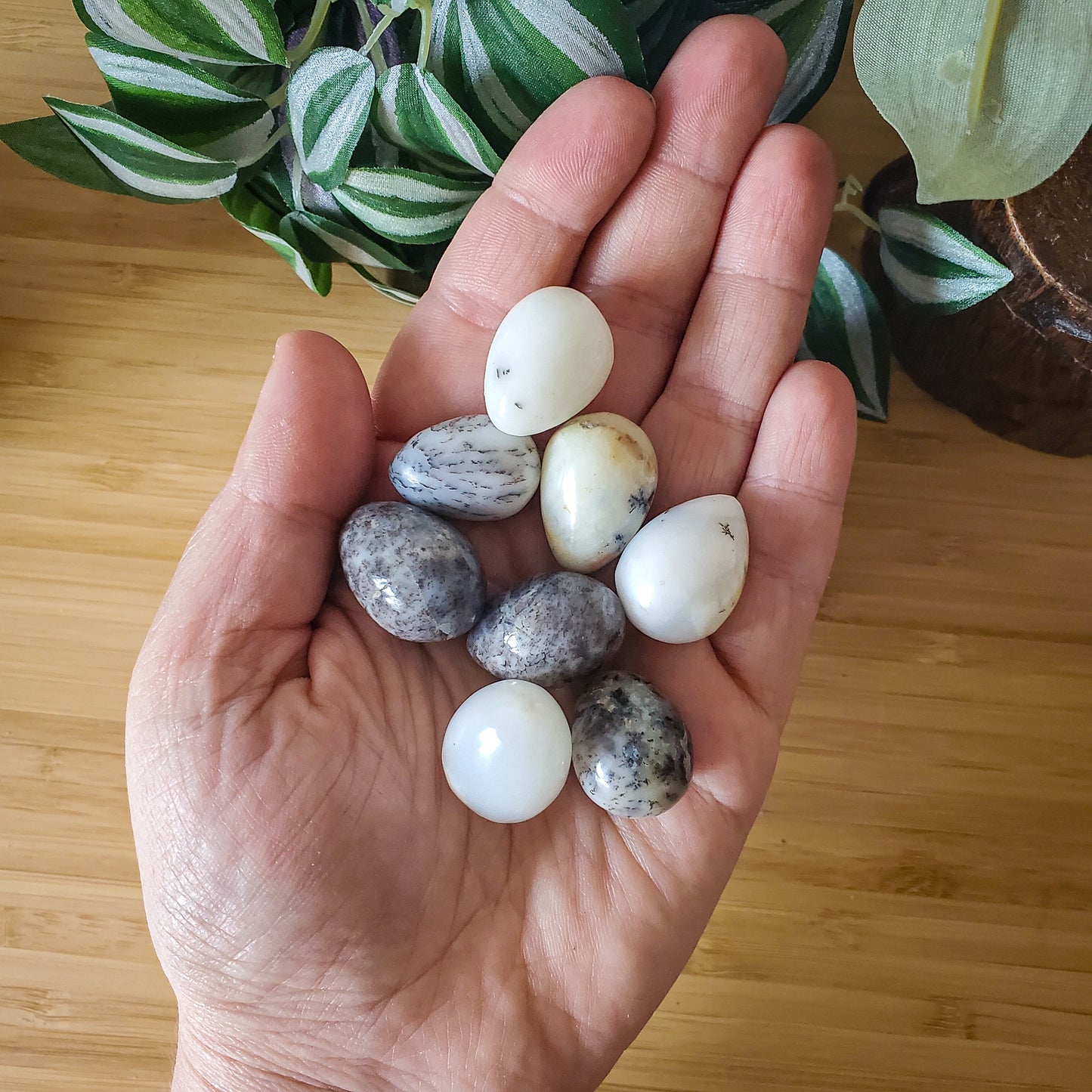 Dendritic Opal Mini-Egg