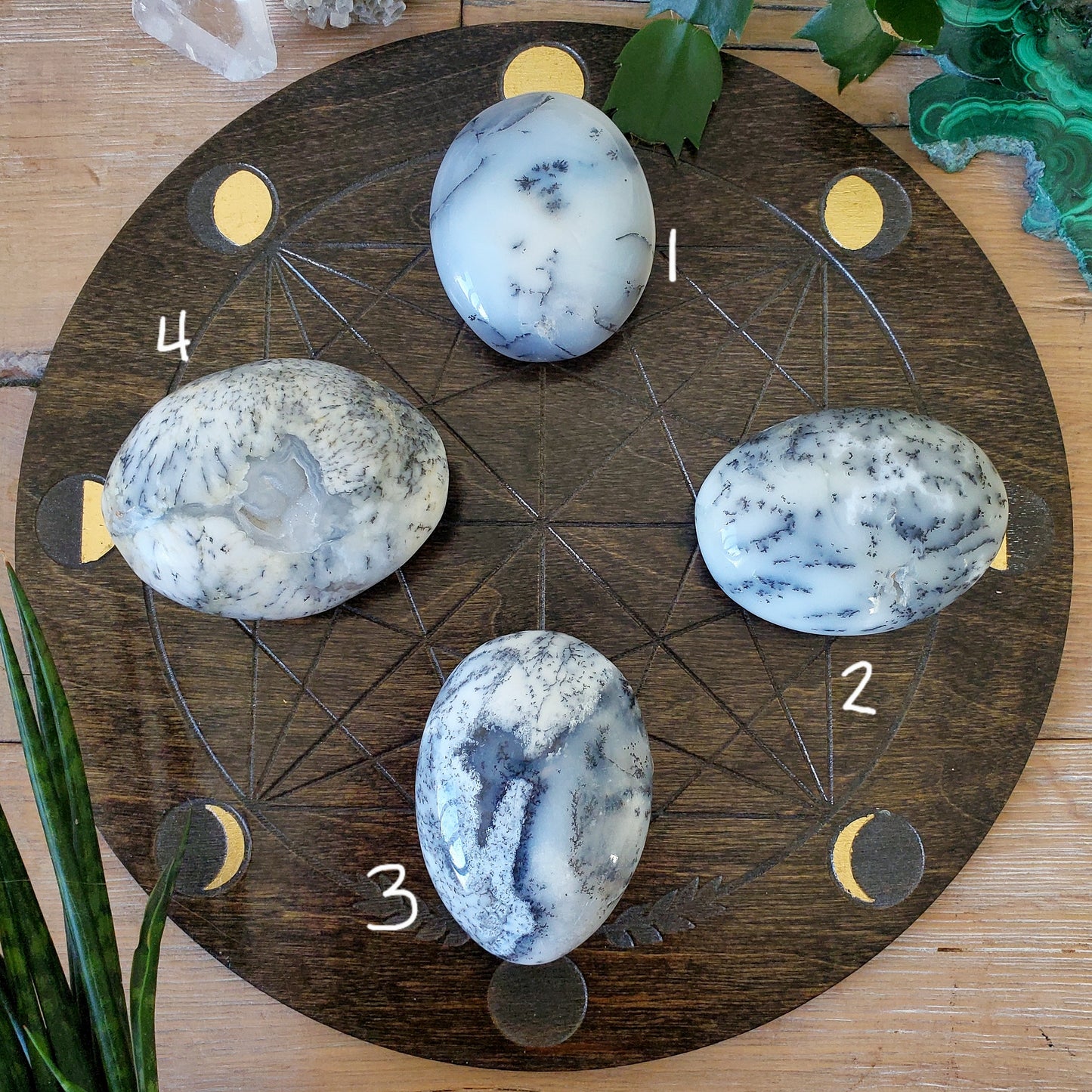 Dendritic Opal Palmstones