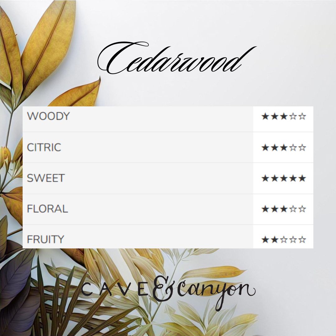 Cedar Hand-rolled Charcoal Incense Sticks - Cedarwood