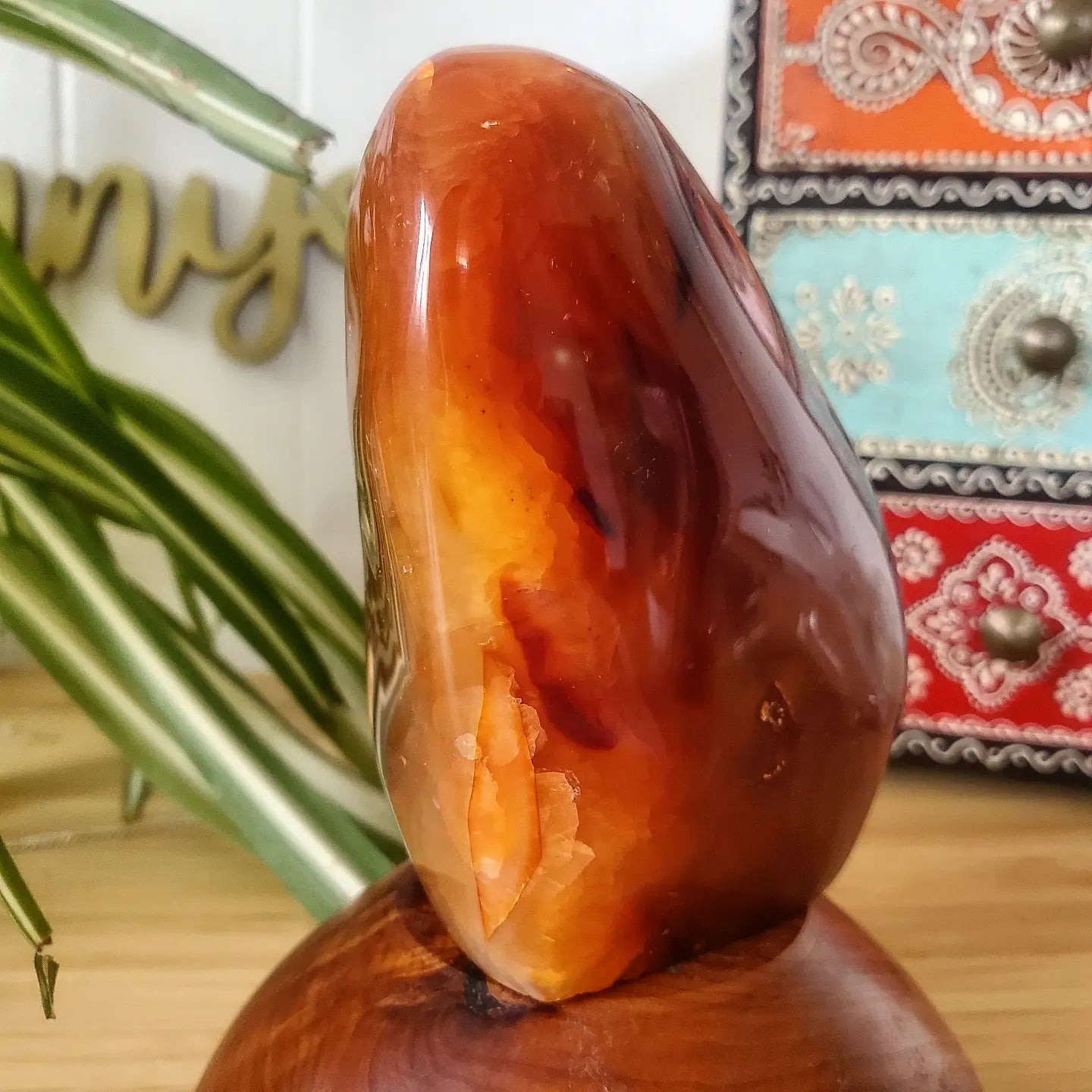 Carnelian Freeform (L)