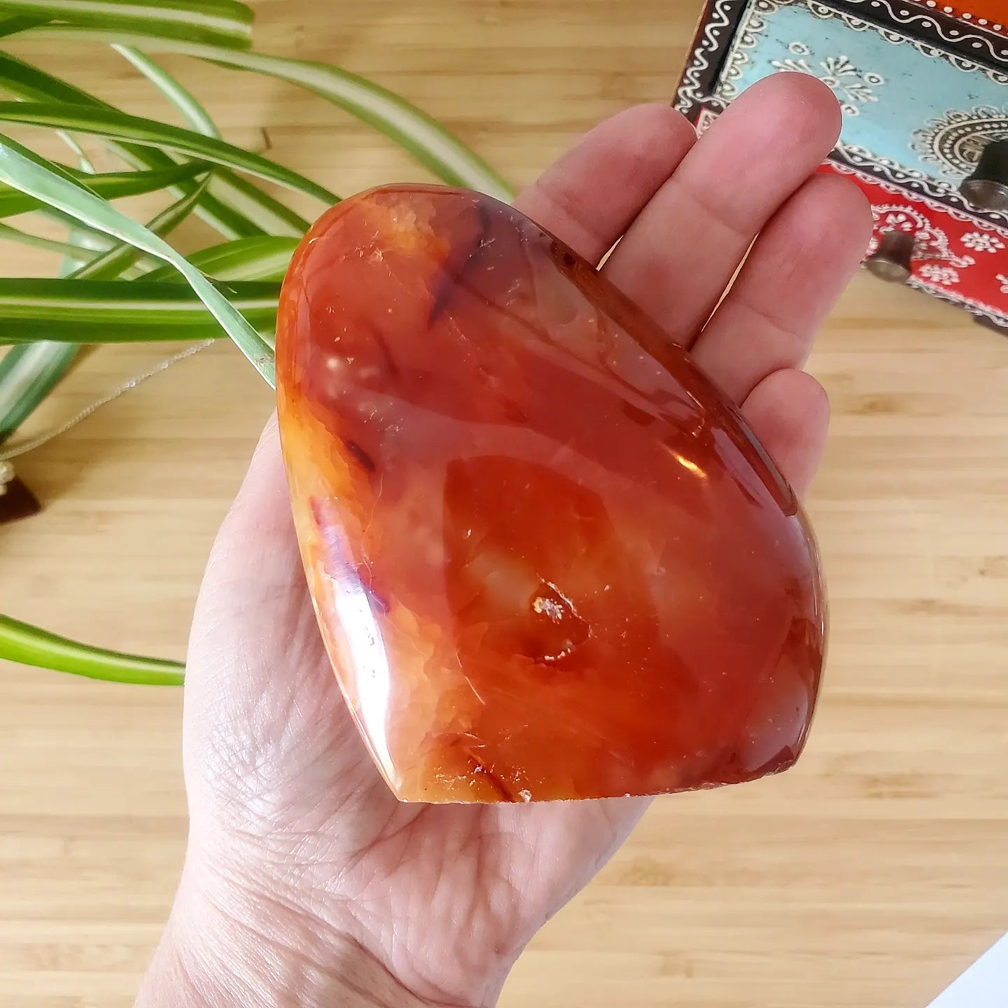 Carnelian Freeform (L)