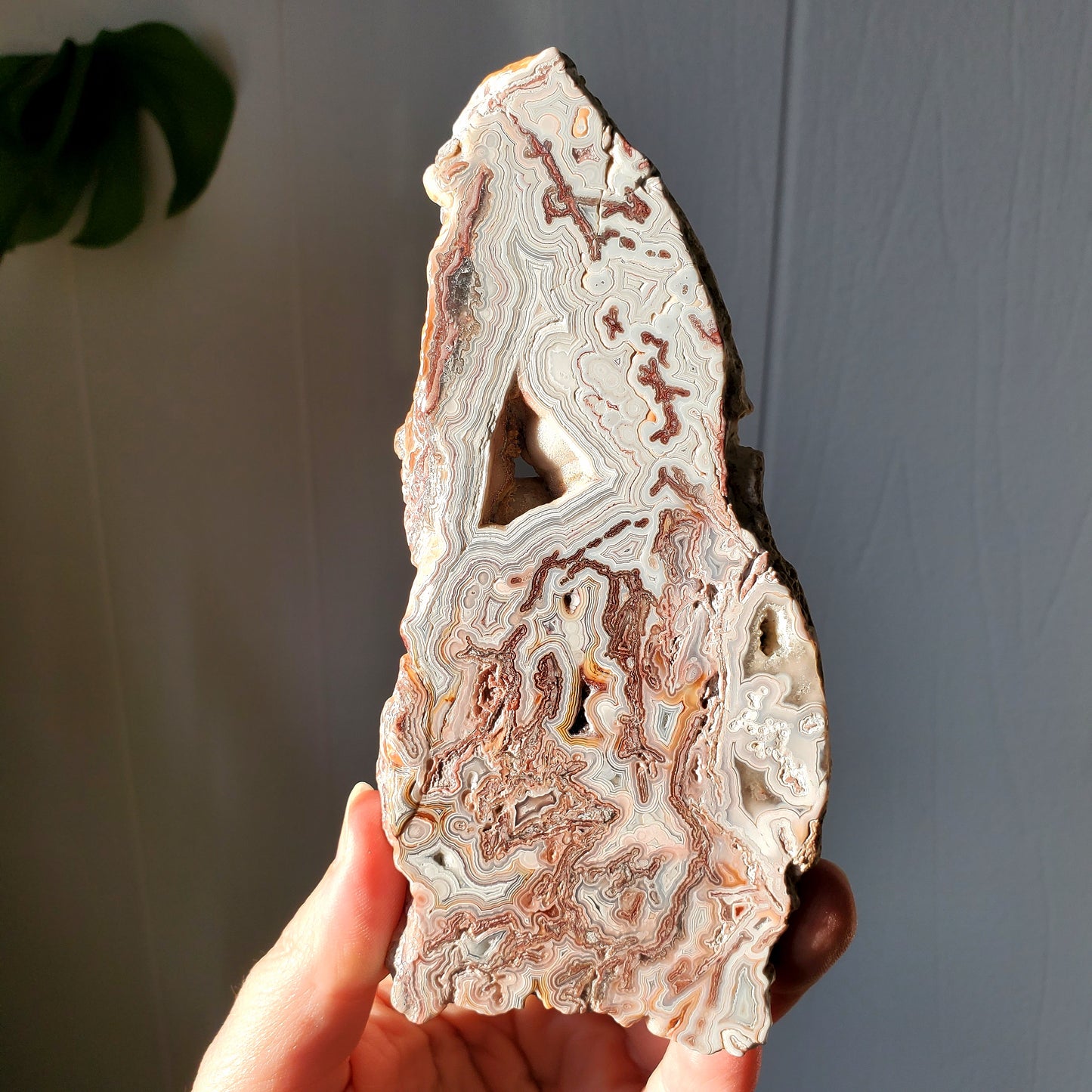 White Lace Agate Slab #1