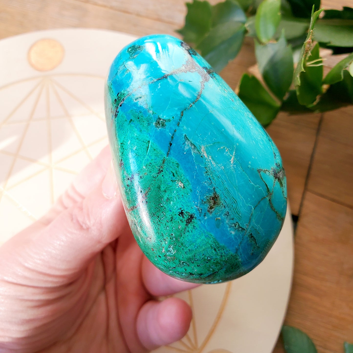 Chrysocolla & Malachite Palmstone #1 (Peru)