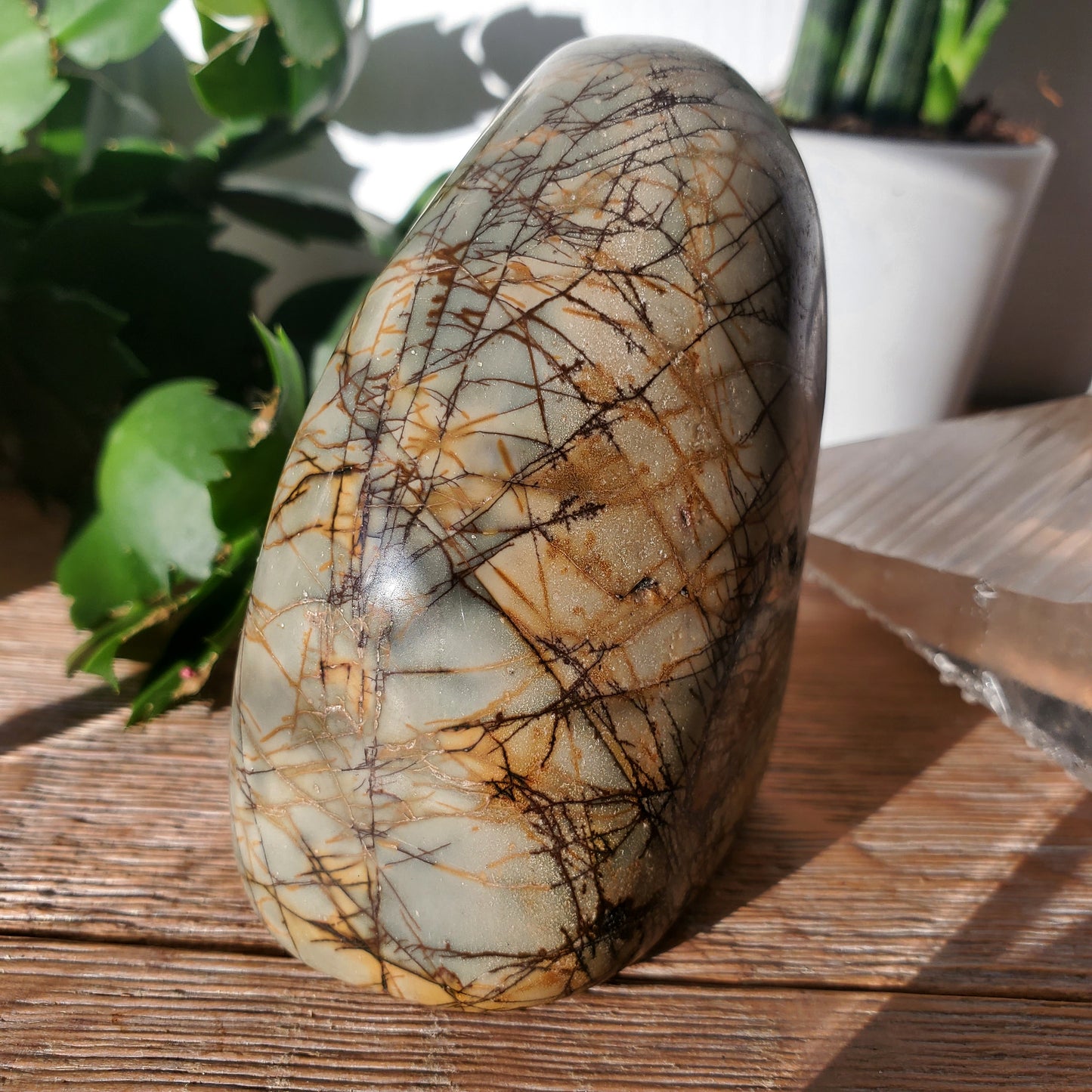 Picasso Jasper Freeform