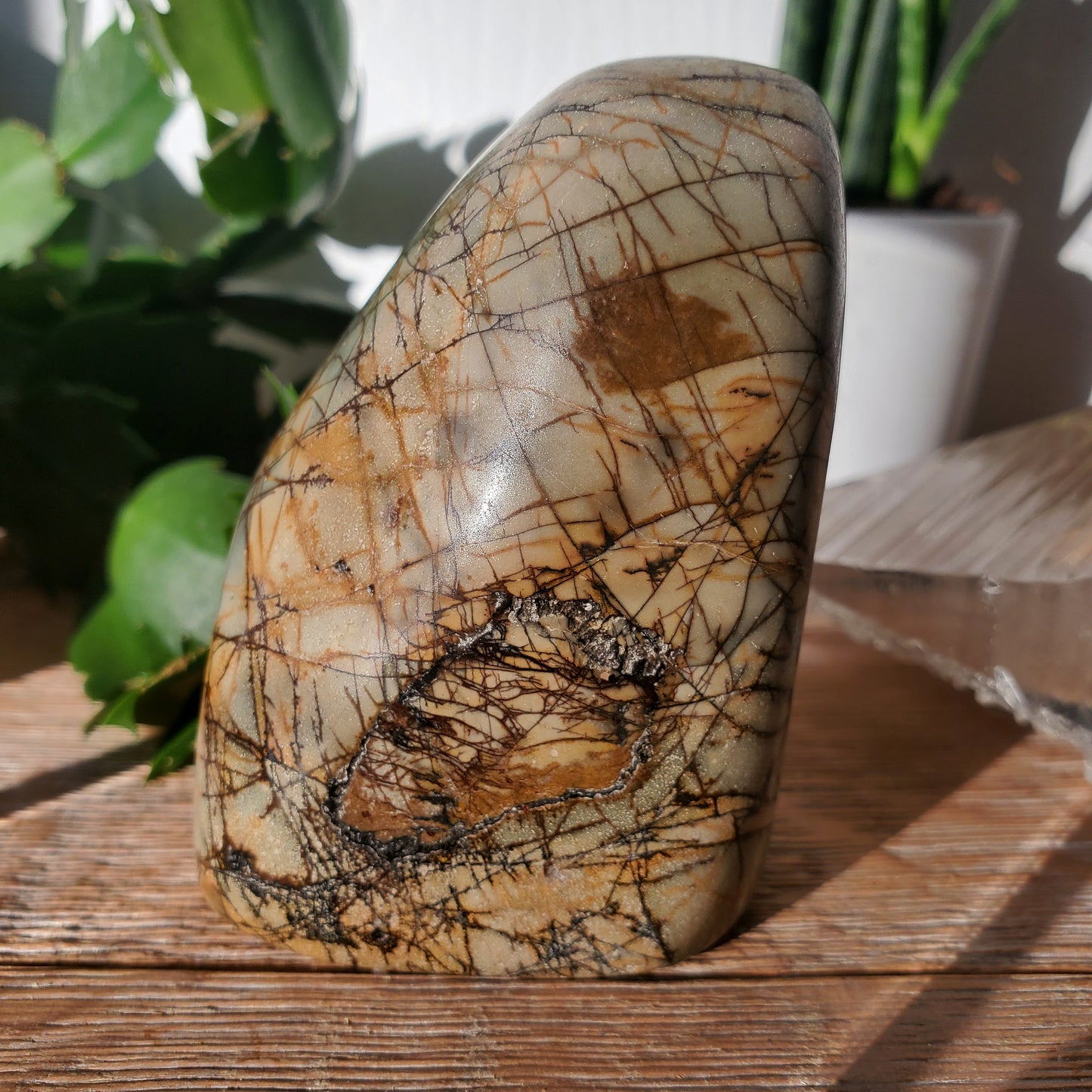 Picasso Jasper Freeform