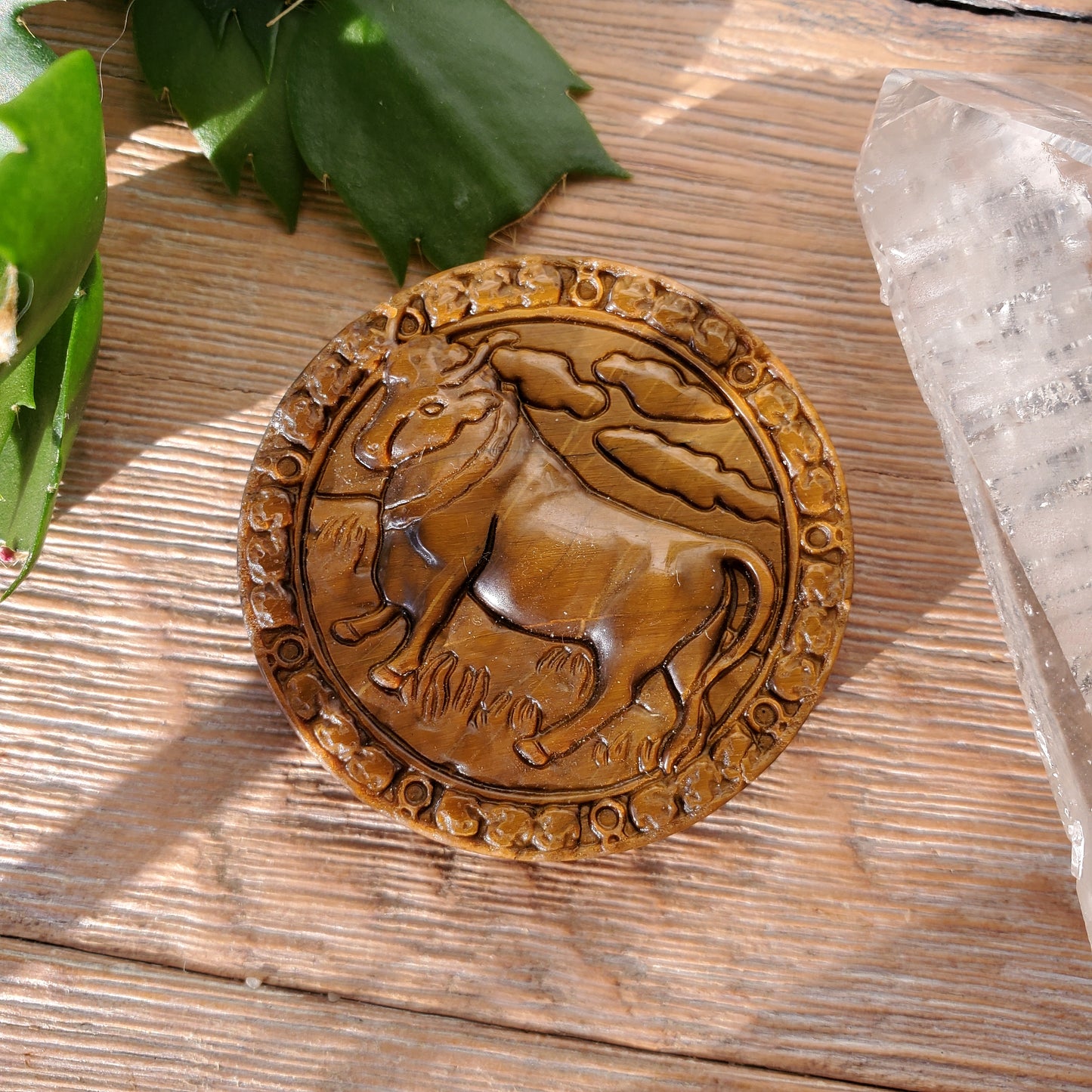 Tiger Eye Zodiac Medallions