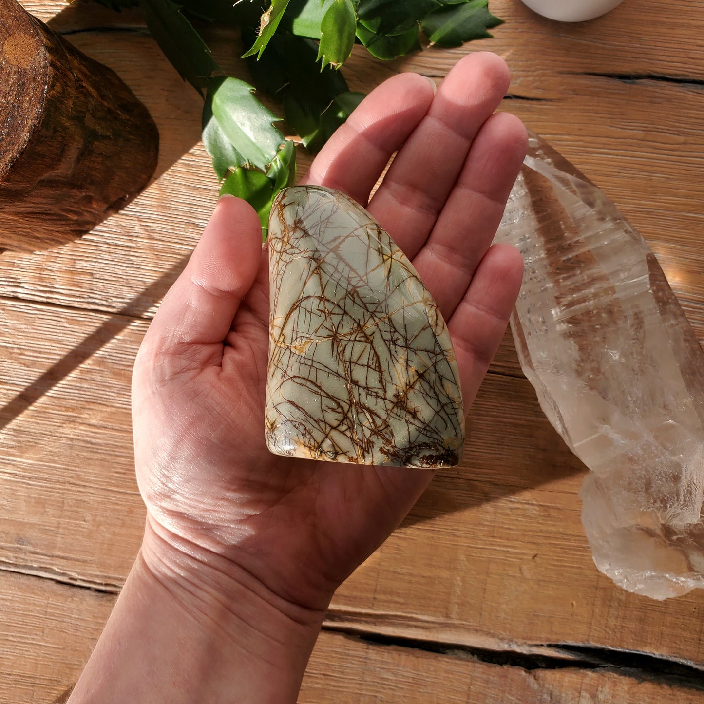 Picasso Jasper Freeform