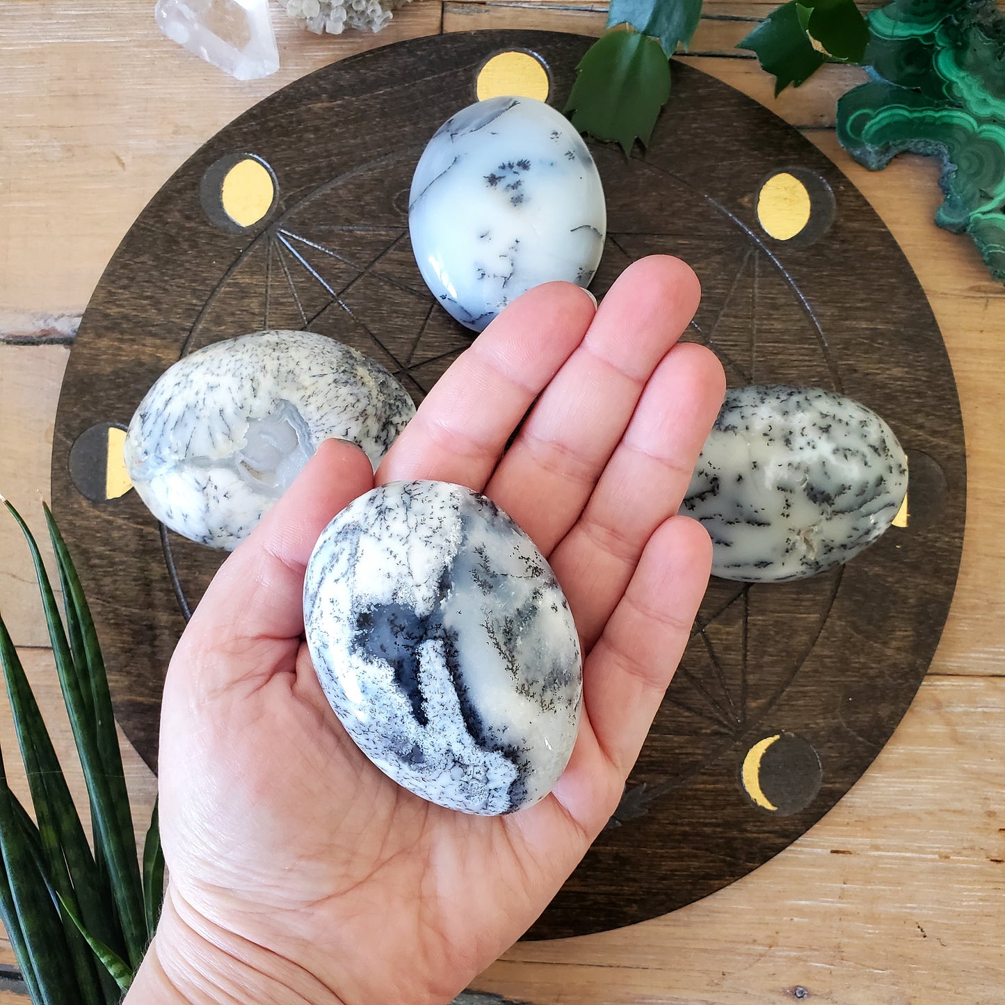 Dendritic Opal Palmstones