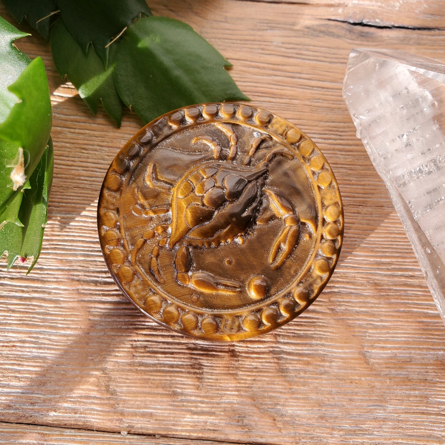 Tiger Eye Zodiac Medallions