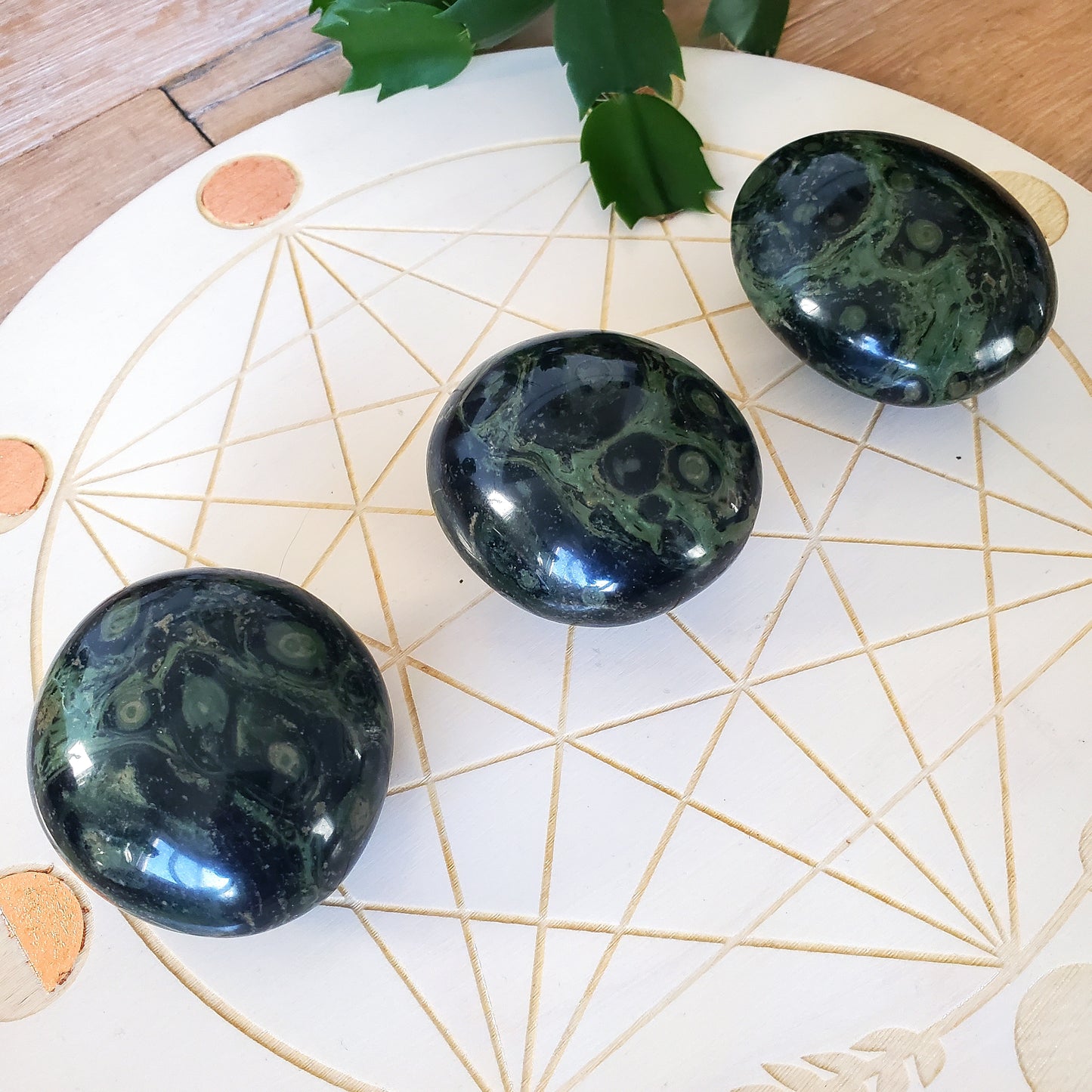 Kambaba Jasper Palmstones