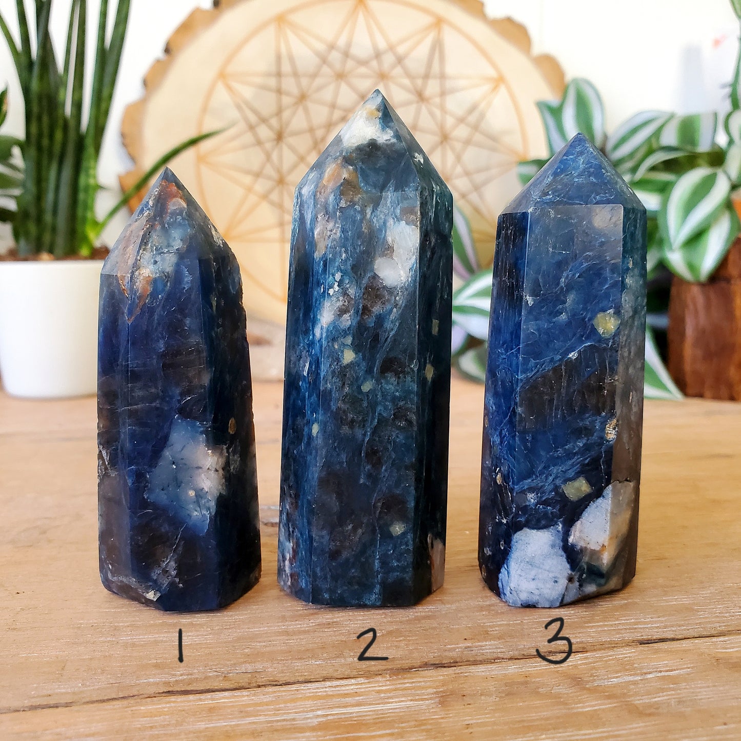 Blue Kyanite Points