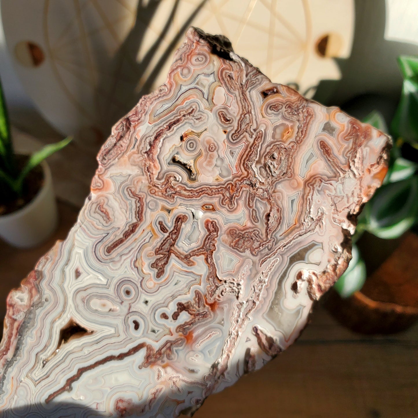 White Lace Agate Slab #1