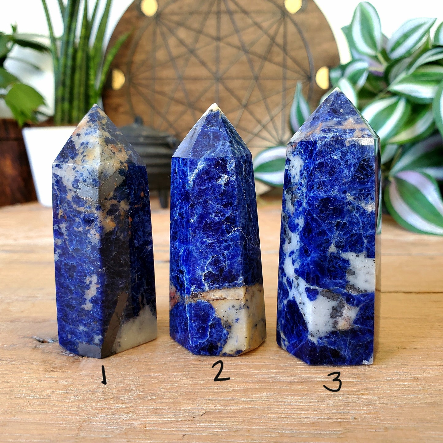 Sodalite Points