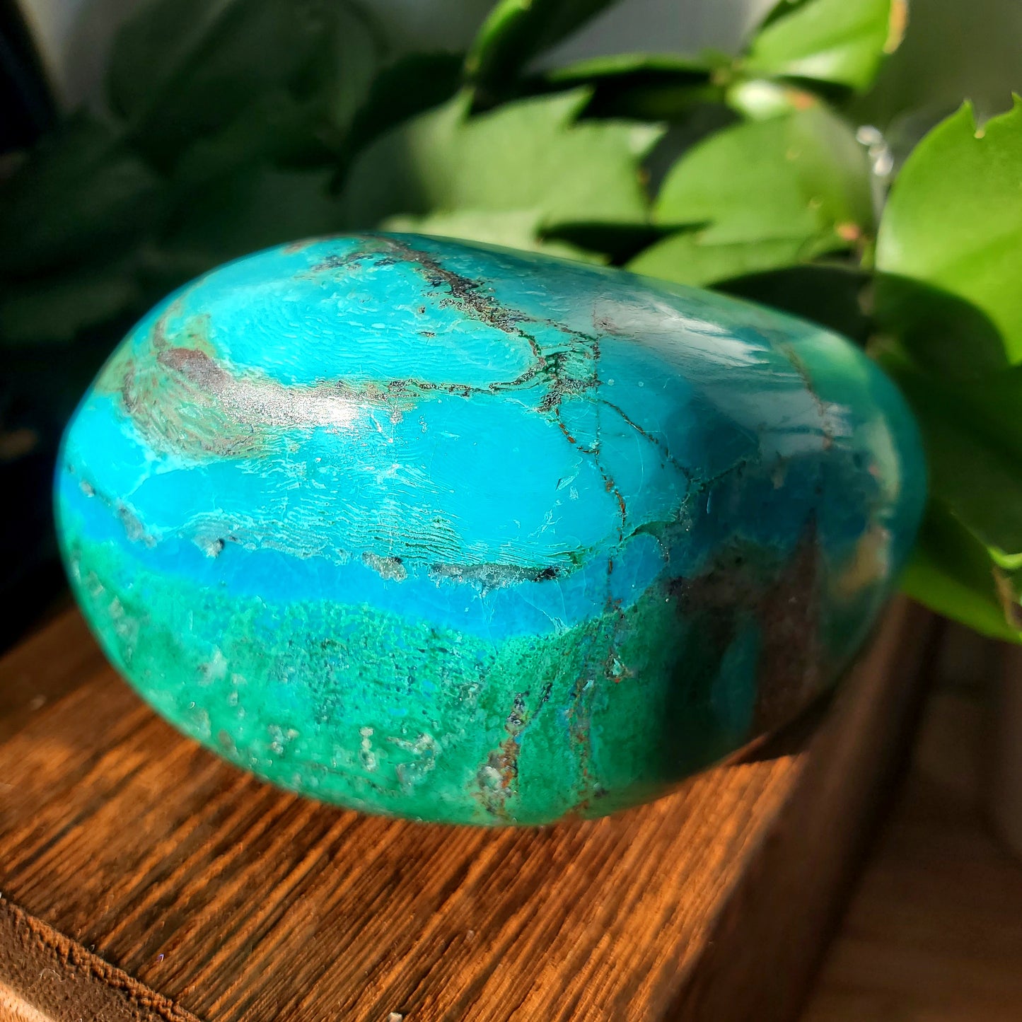 Chrysocolla & Malachite Palmstone #1 (Peru)