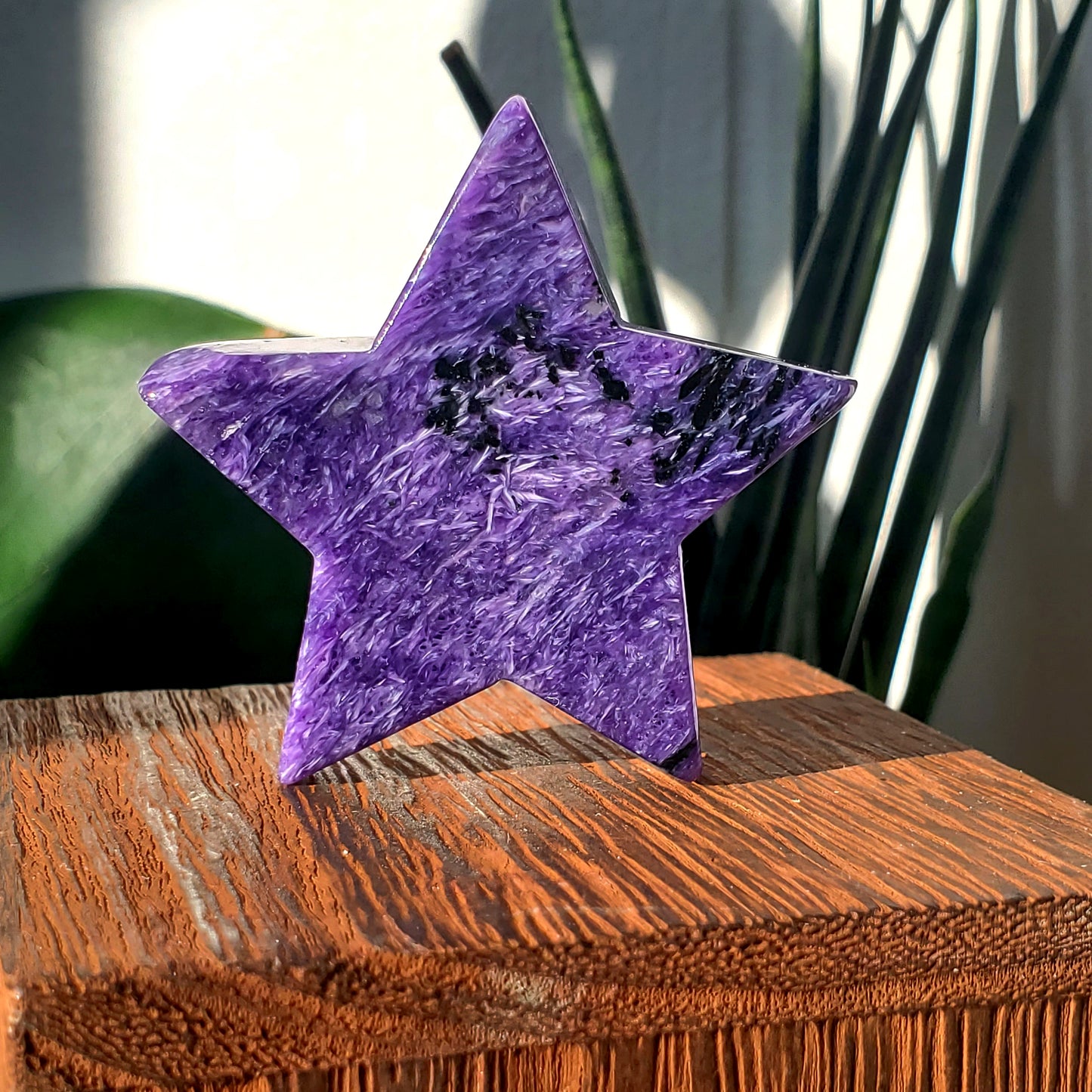 Charoite Star #2 (Polished) Russia