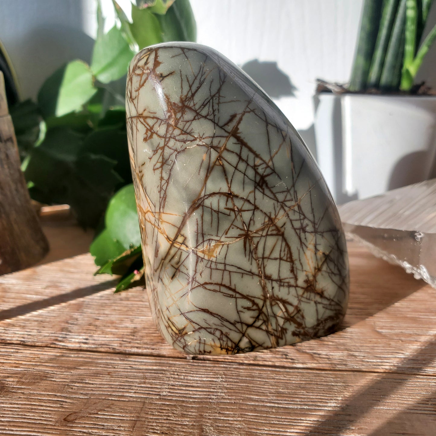 Picasso Jasper Freeform