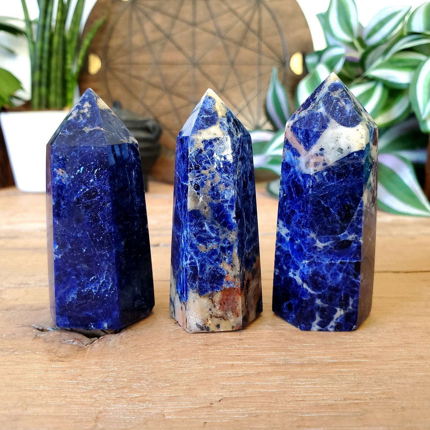 Sodalite Points