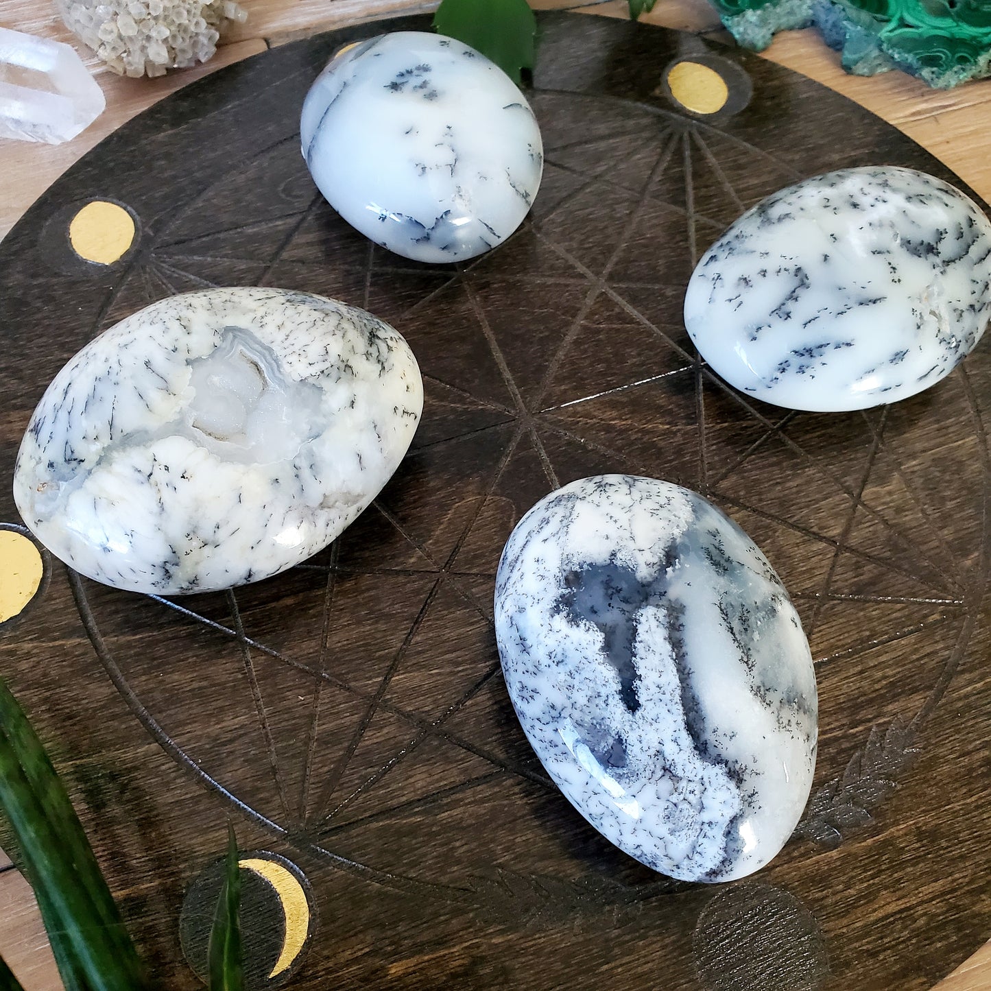 Dendritic Opal Palmstones