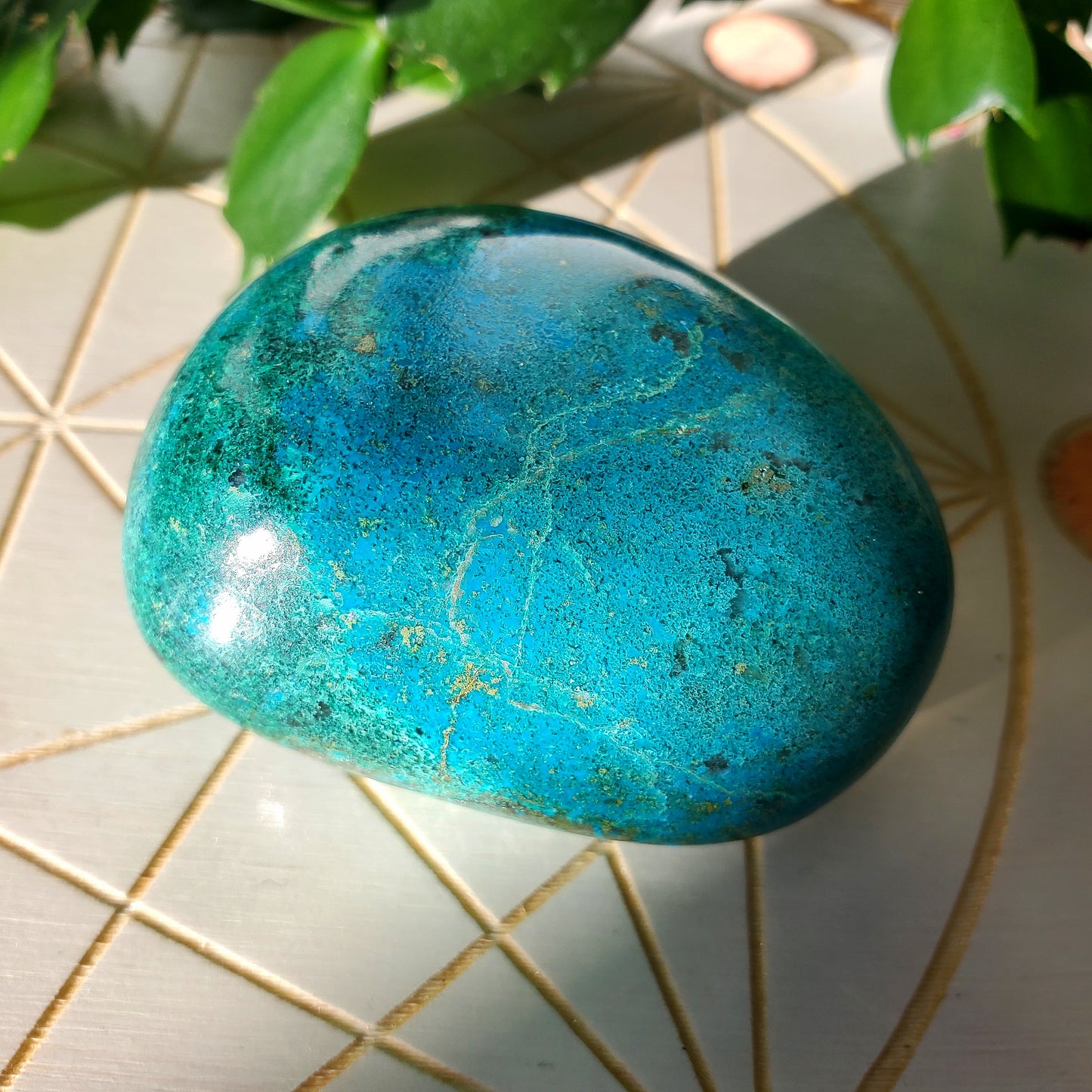 Chrysocolla Palmstone #2 (Peru)
