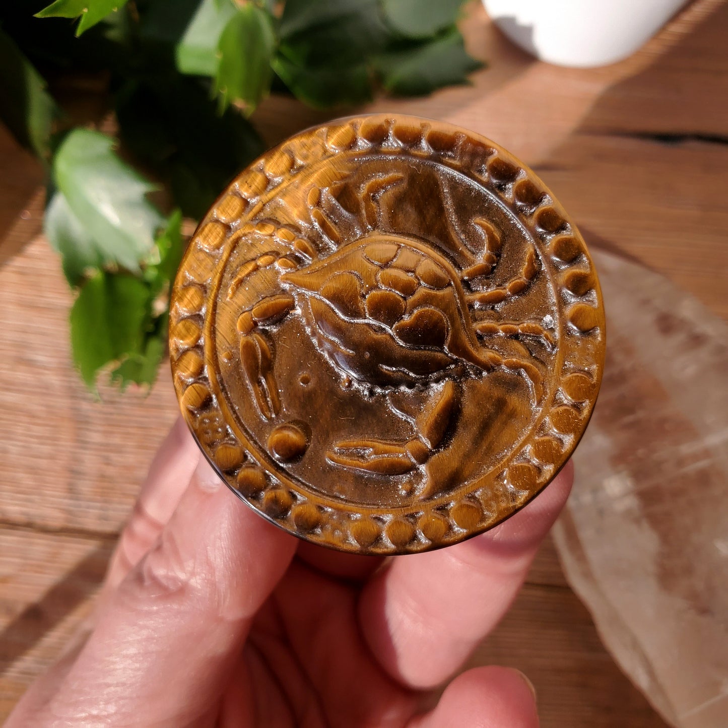 Tiger Eye Zodiac Medallions