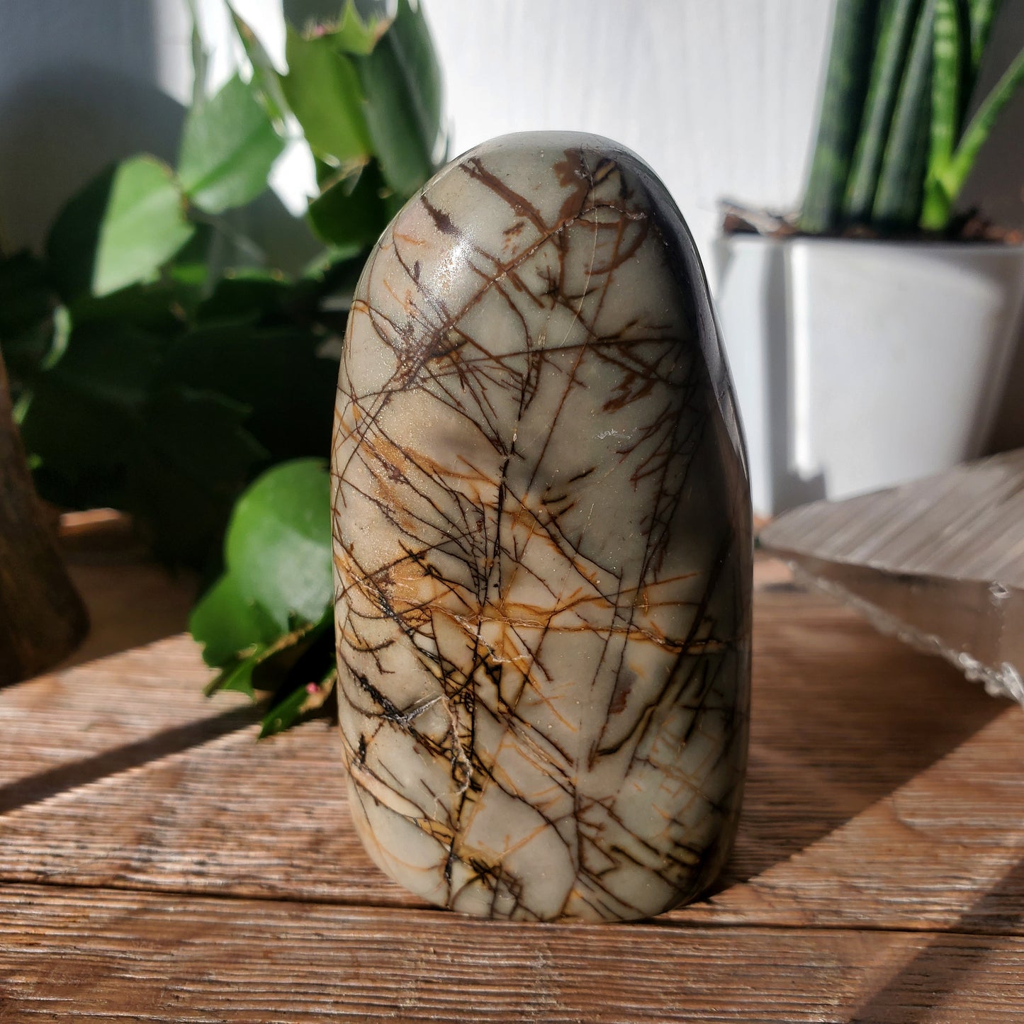 Picasso Jasper Freeform