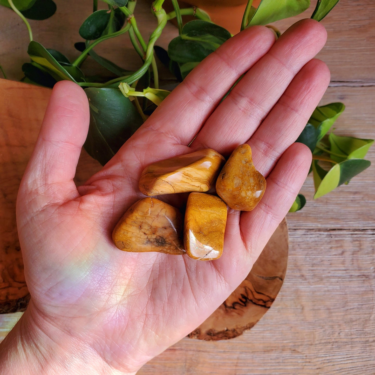 Yellow Jasper Tumbled Stone