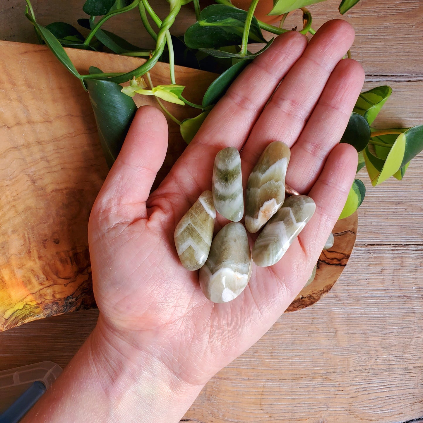 Prasiolite Tumbled Stone - LG