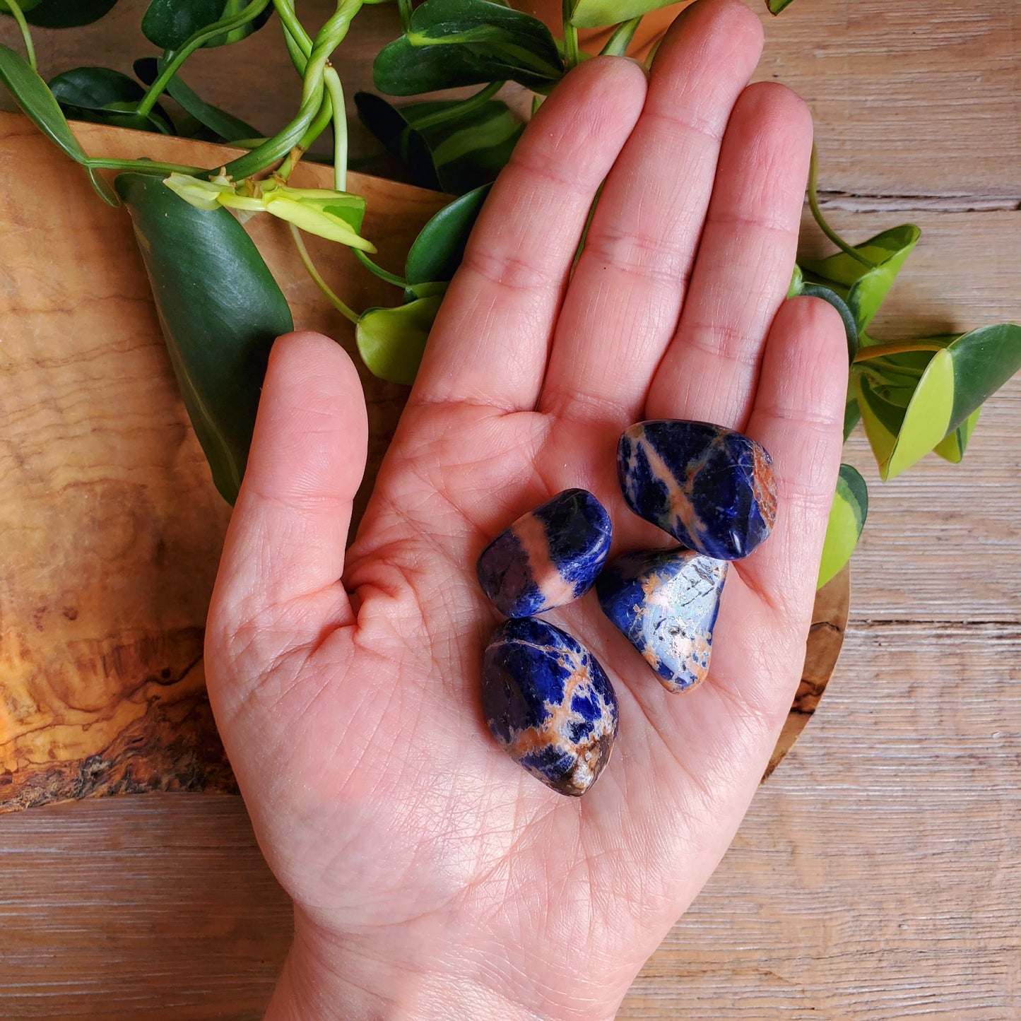 Sunset Sodalite Tumbled Stone - M