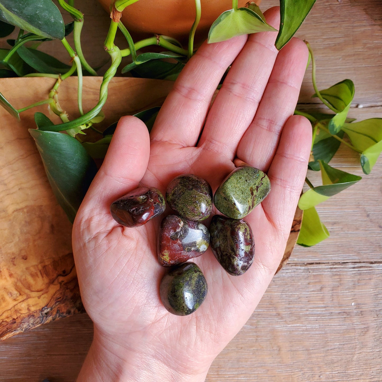Dragon's Blood Jasper Tumbled Stone - LG