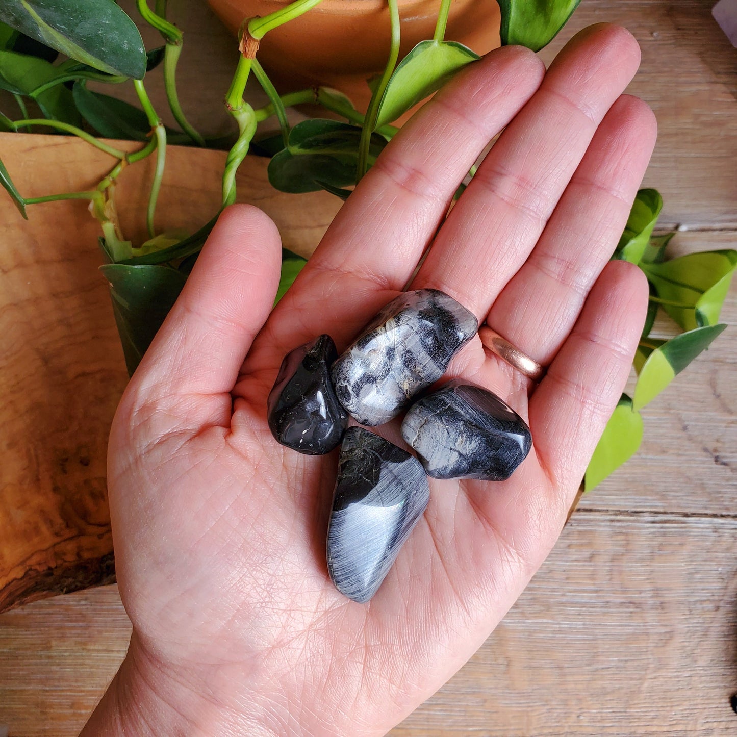 Silver Leaf Jasper Tumbled Stone - M