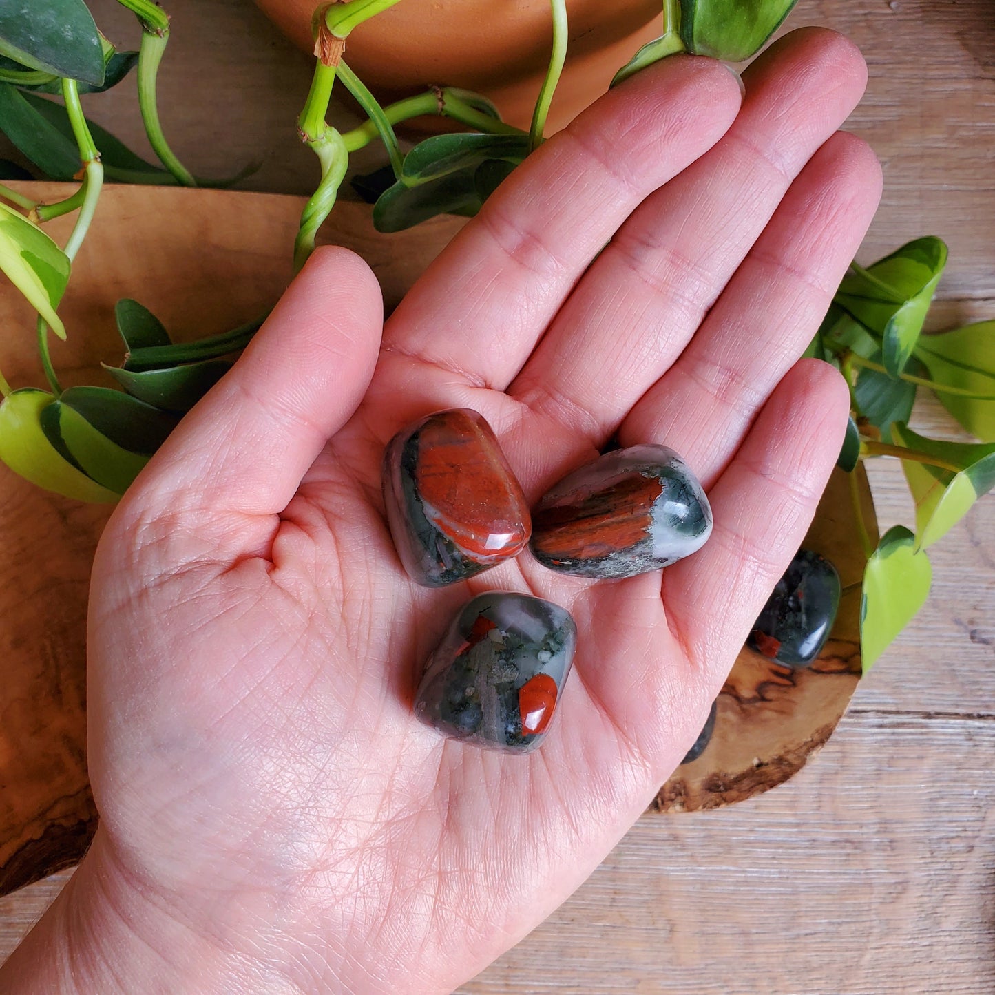 Seftonite Bloodstone Tumbled Stone