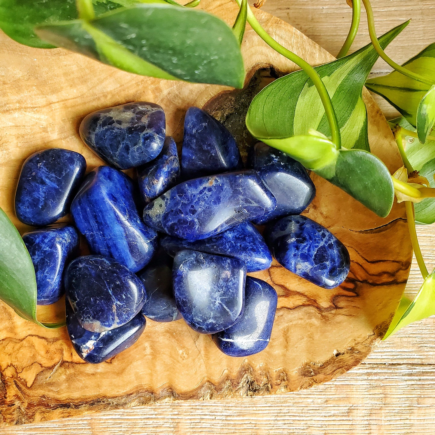 Sodalite Tumbled Stone