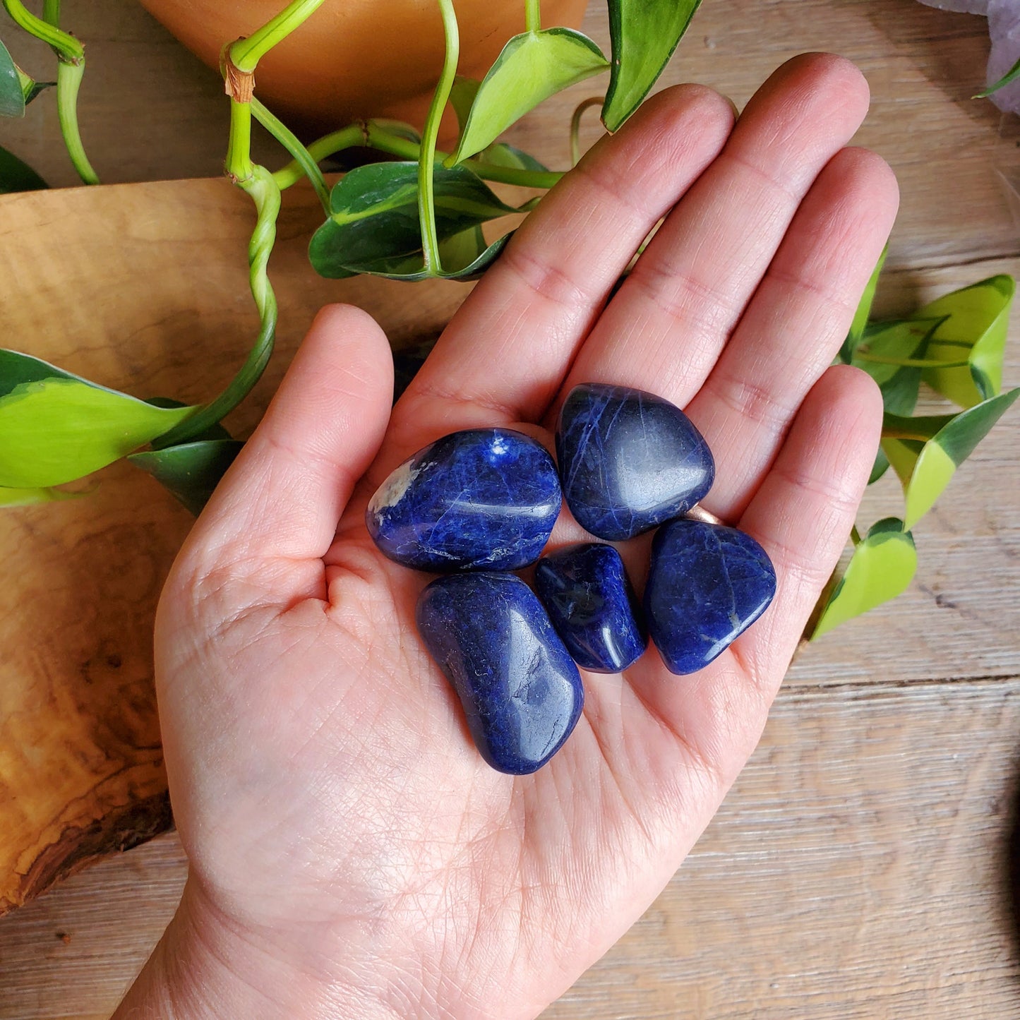 Sodalite Tumbled Stone
