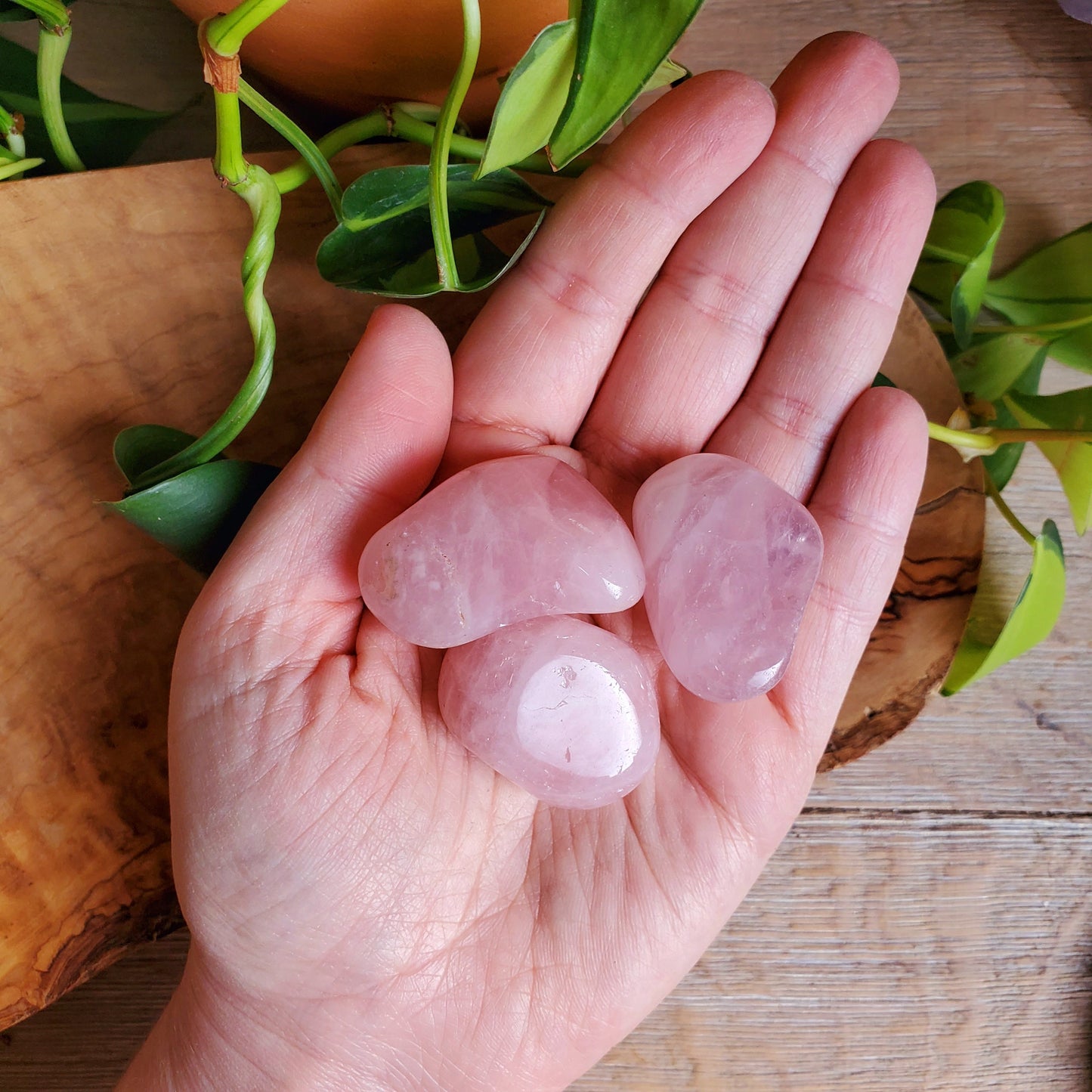 Rose Quartz Tumbled Stone
