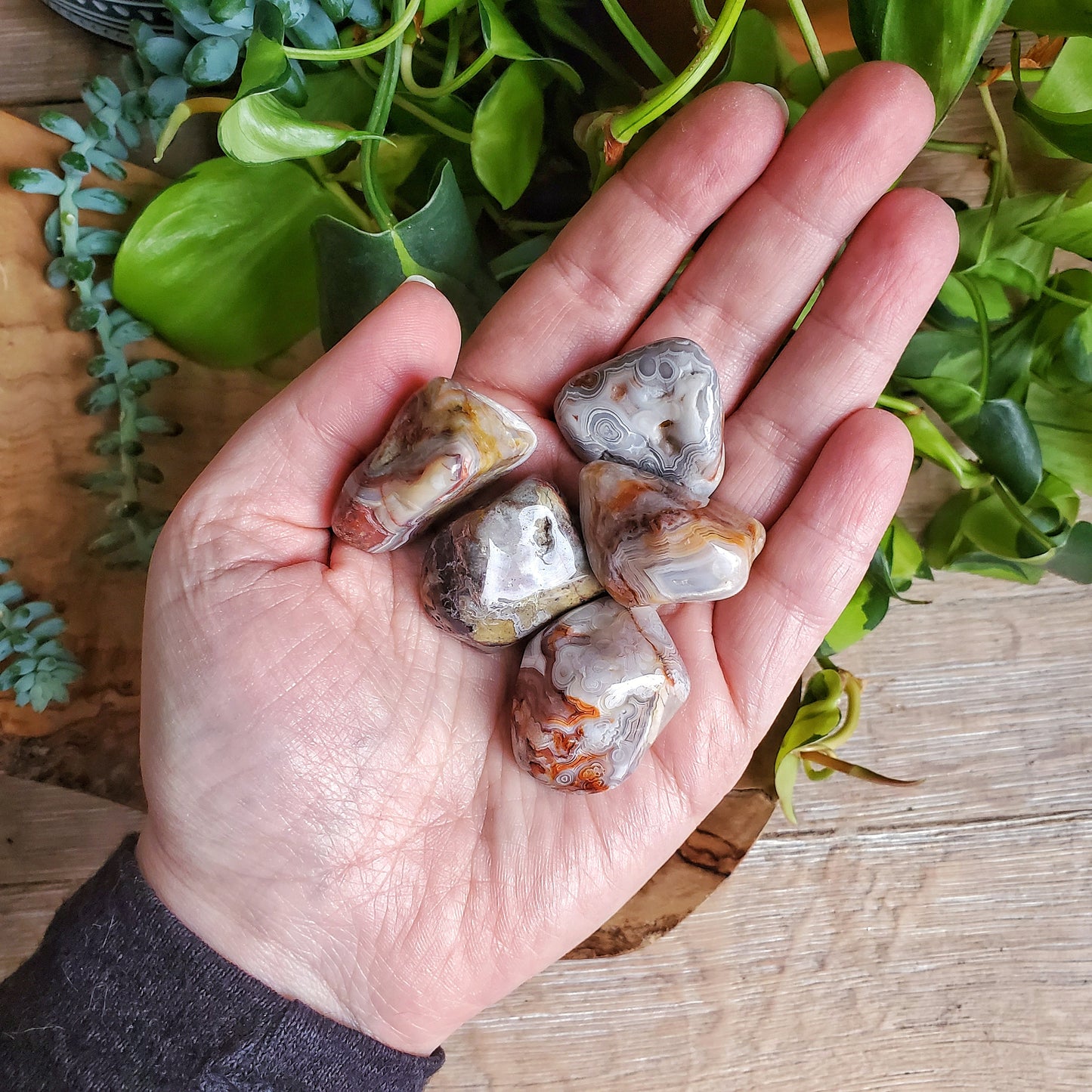 Crazy Lace Agate Tumbled Stone - XL