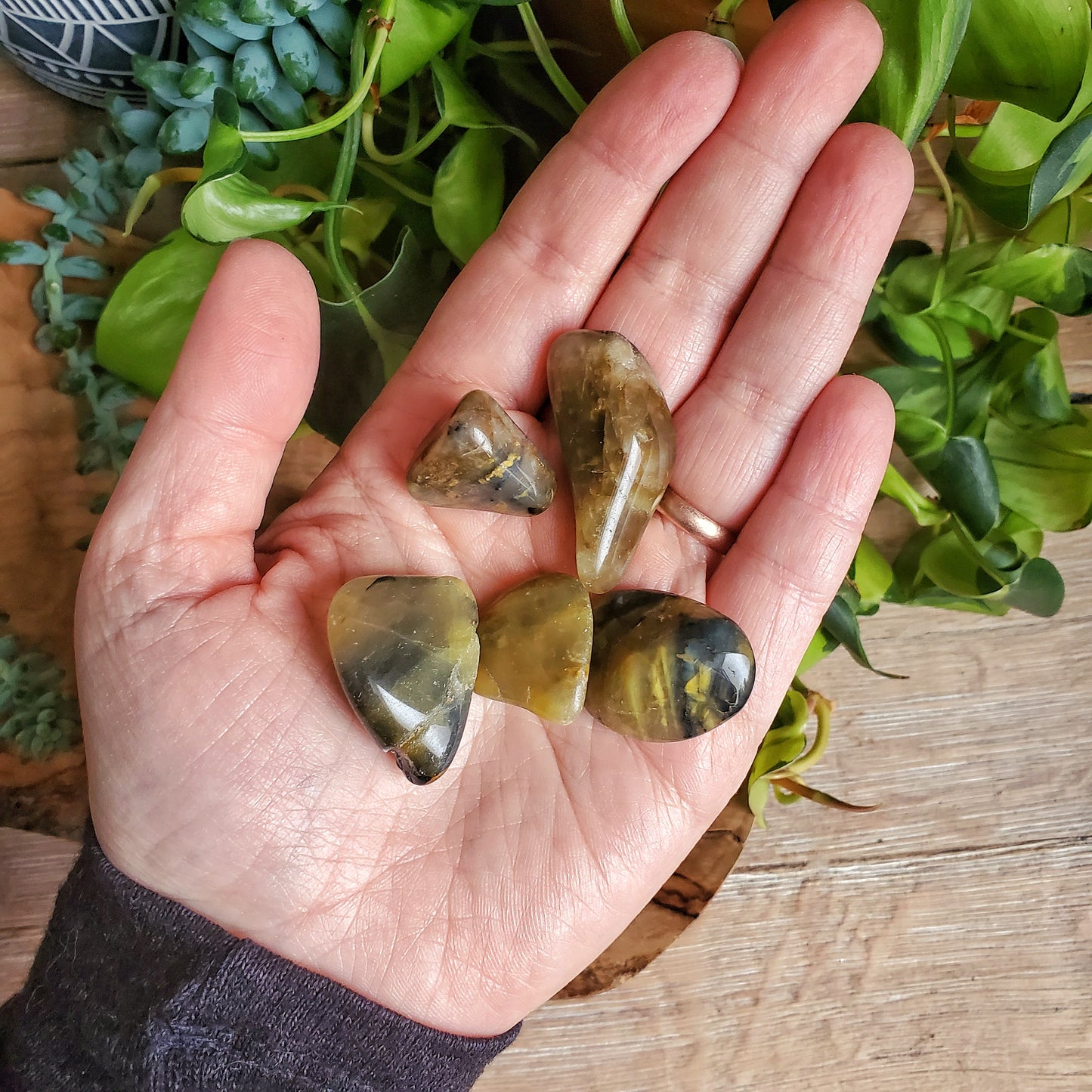 Lionskin Tumbled Stones