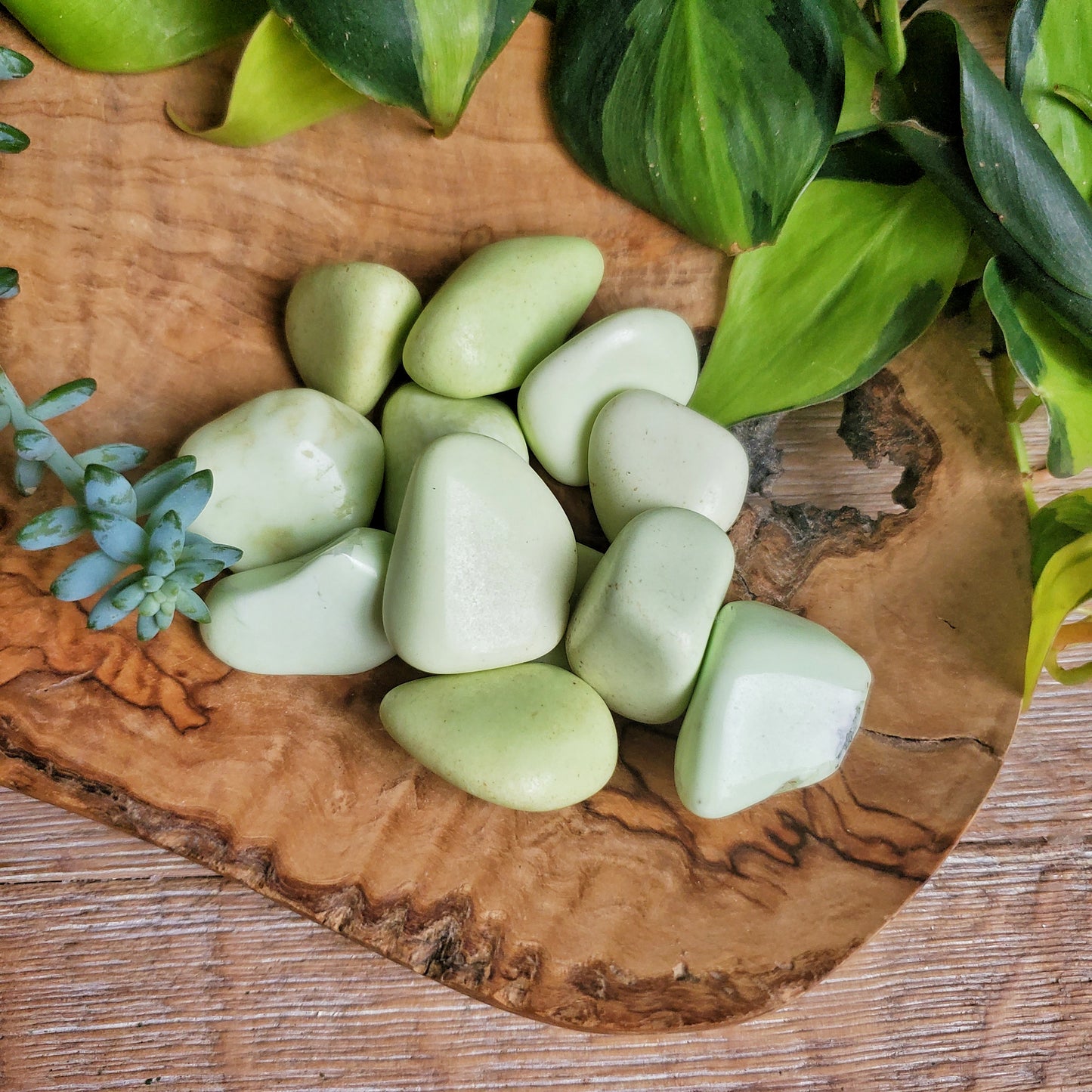 Citron Chrysoprase Tumbled Stone - LG