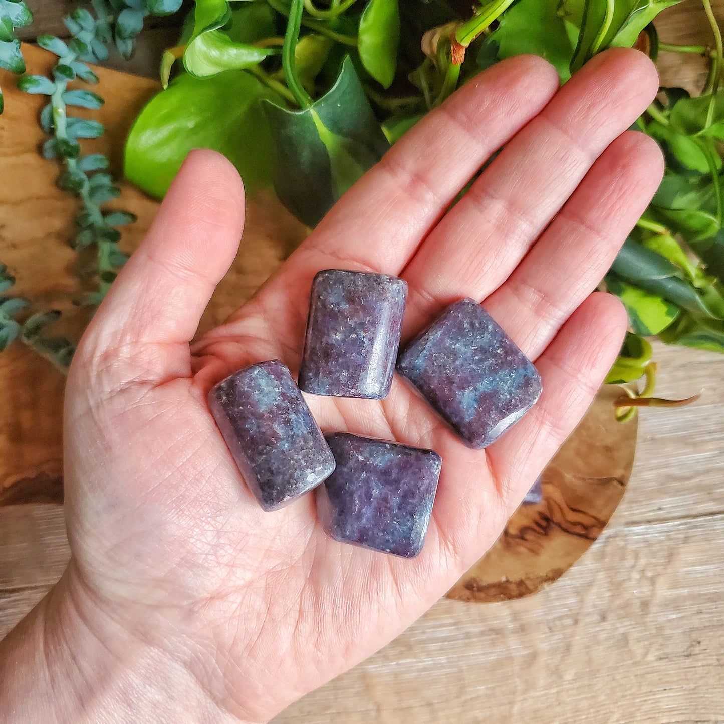 Ruby in Kyanite Tumbled Stone - LG