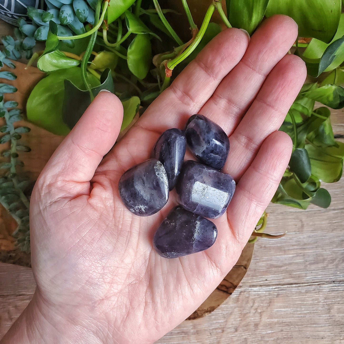 Iolite Tumbled Stones