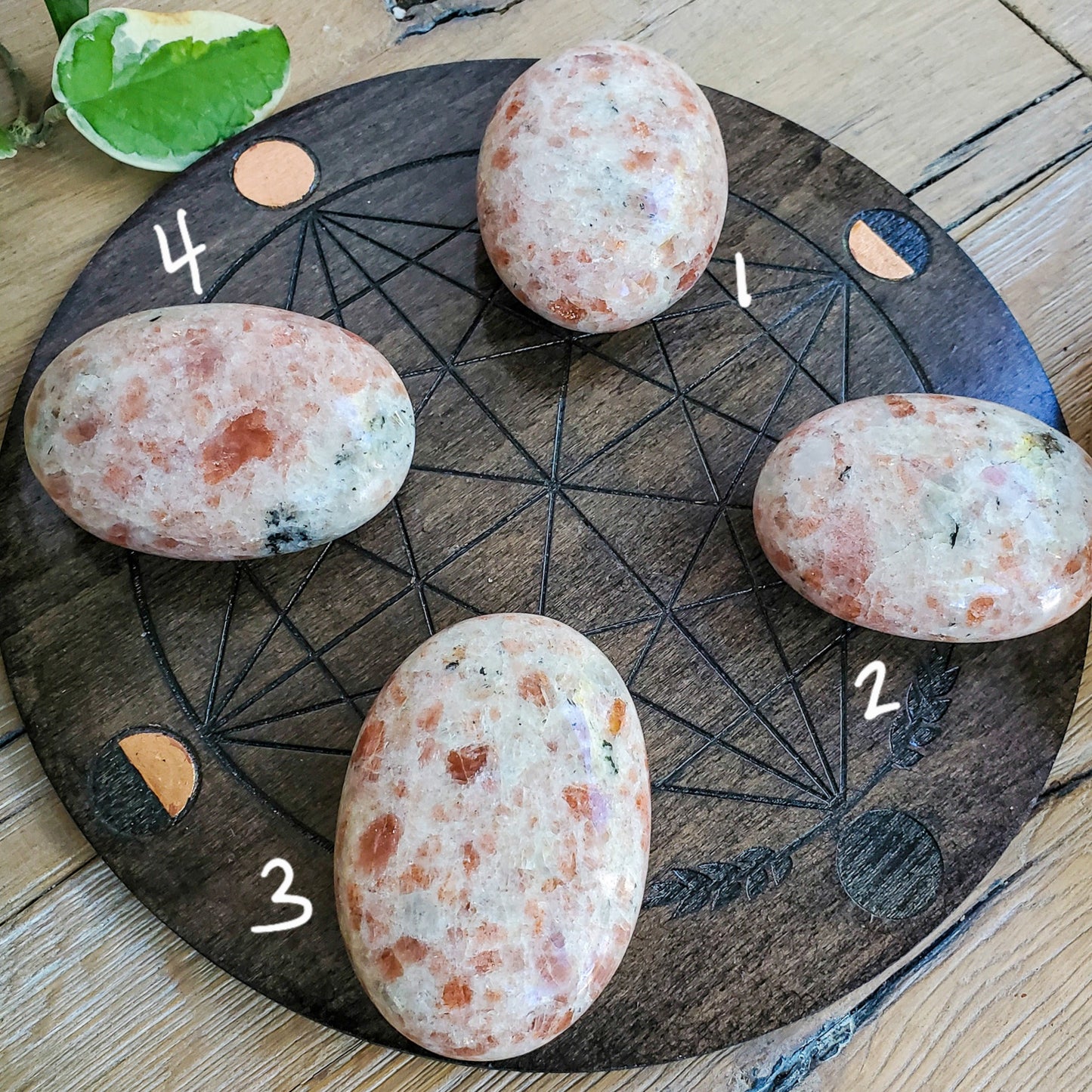 Sunstone Palmstones (India)
