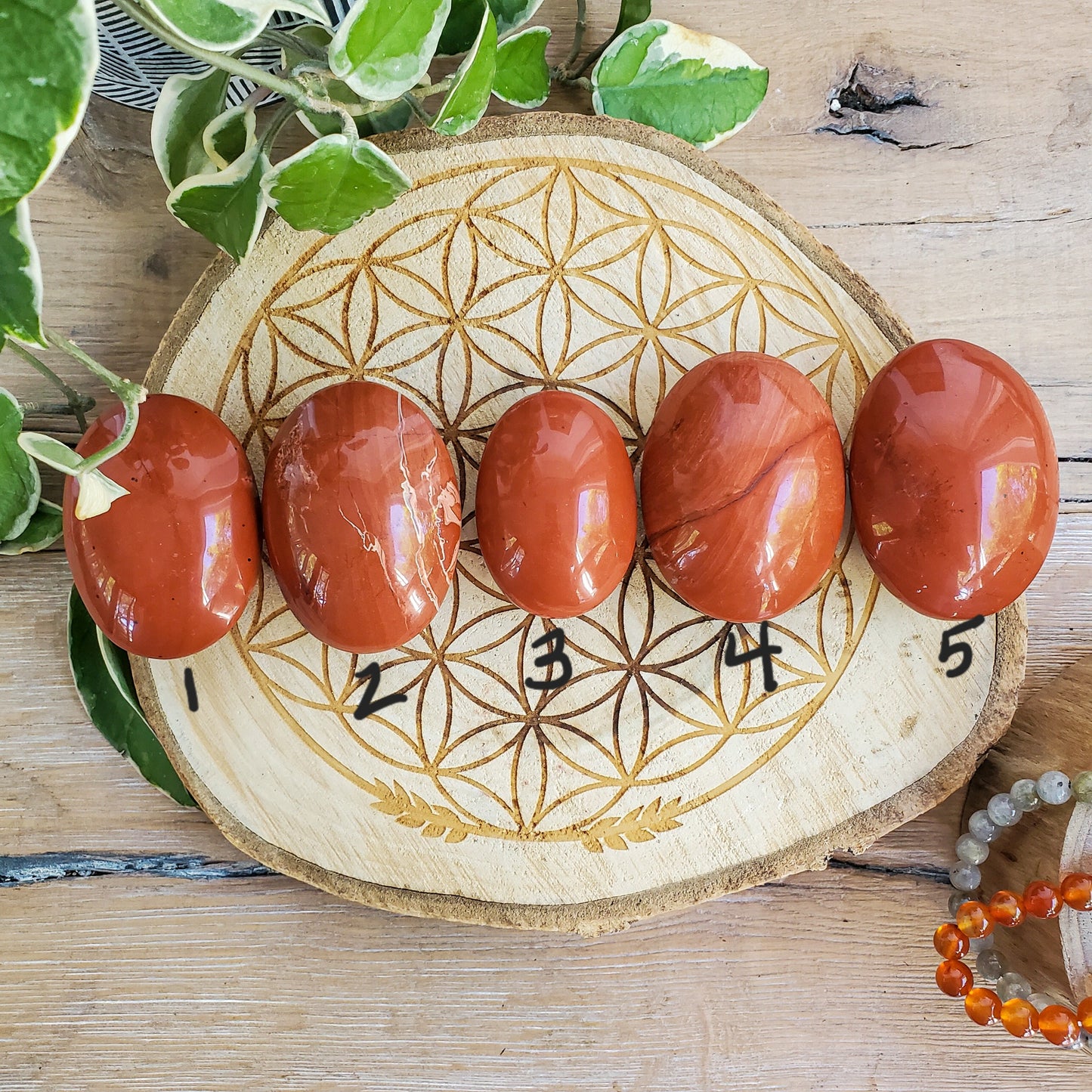 Red Jasper Palmstones (India)