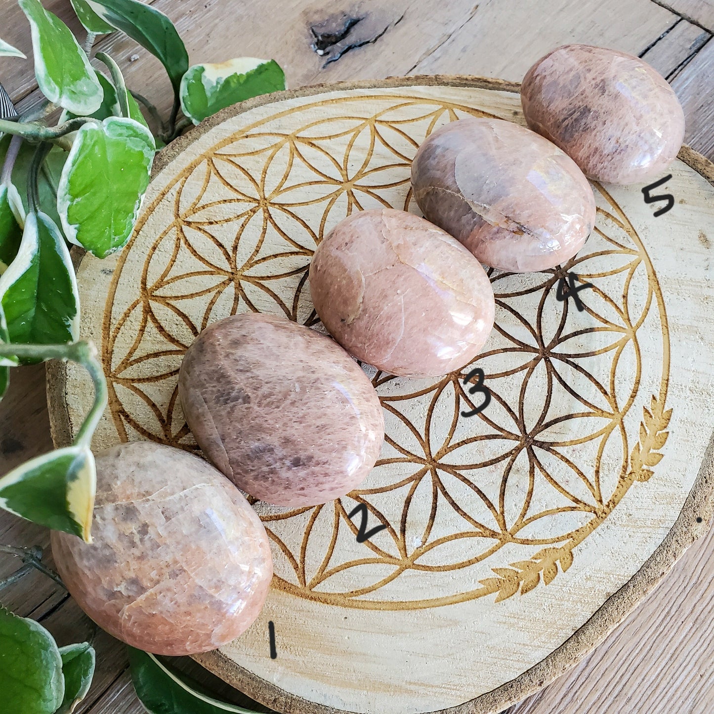 Peach Moonstone Palmstones (Madagascar)