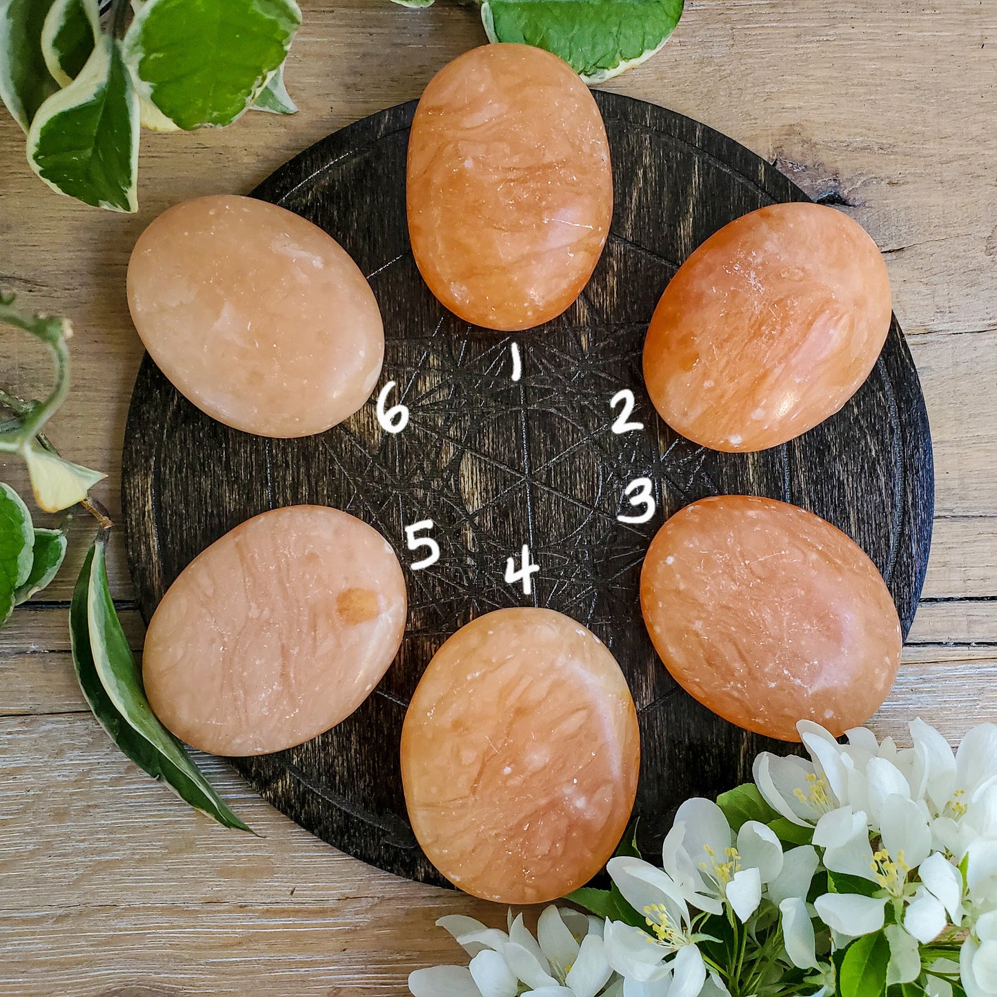 Peach Calcite Palmstones (Madagascar)