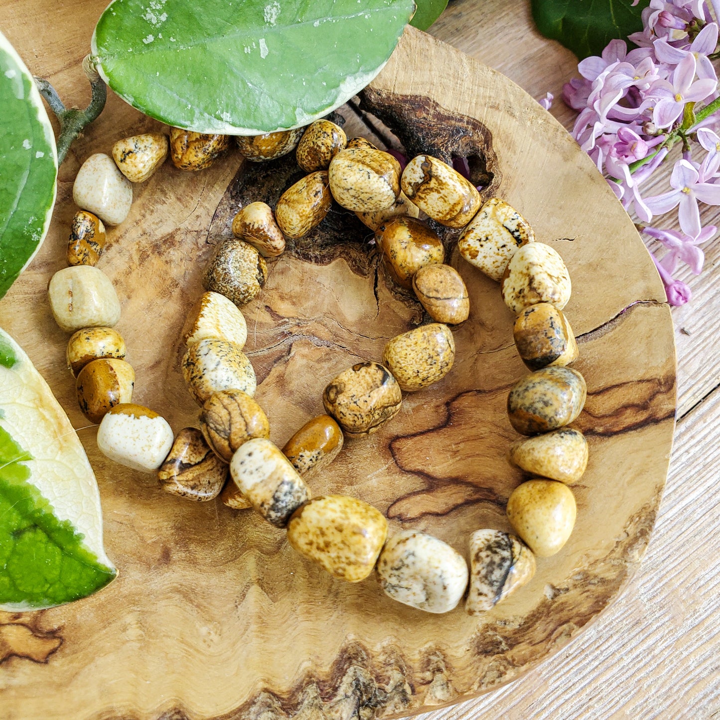 Picture Jasper Bracelet (Tumbled stone)