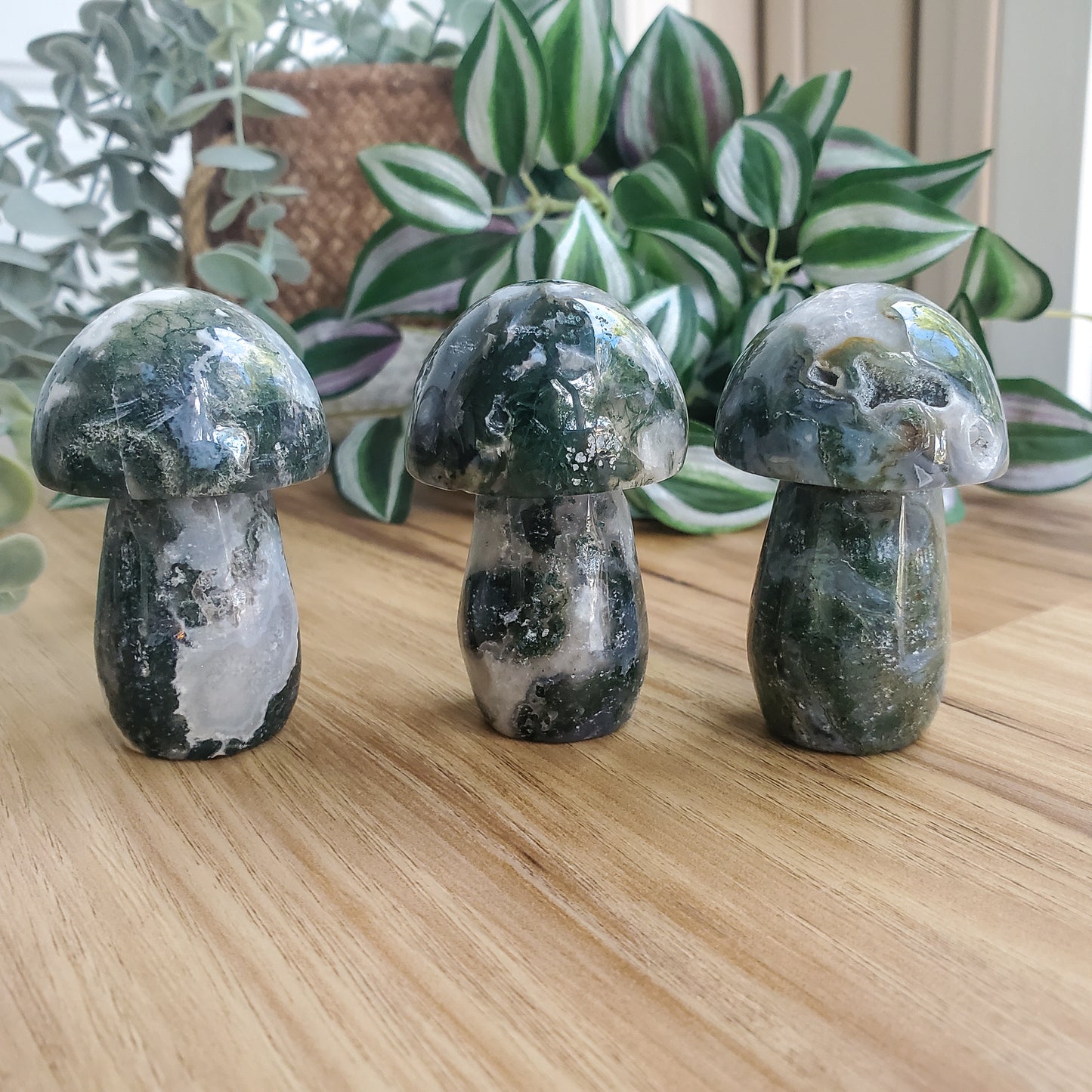 Mushroom - Moss Agate - Polished
