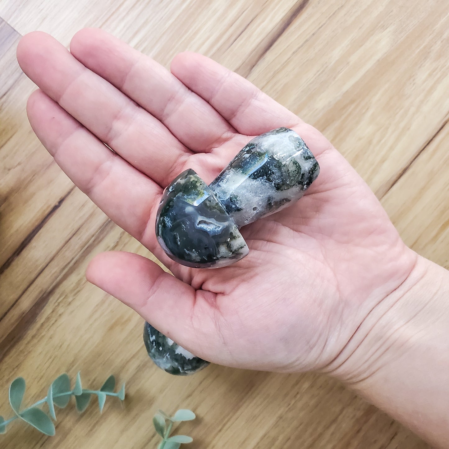 Mushroom - Moss Agate - Polished