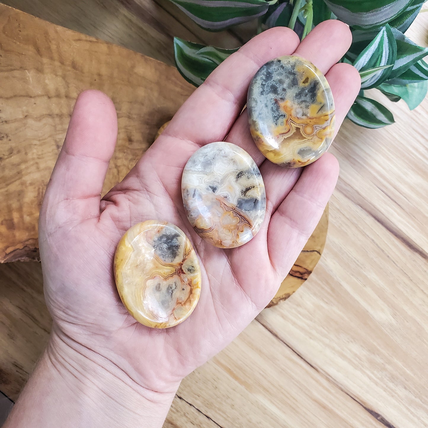 Crazy Lace Agate - Worry Stone - Polished