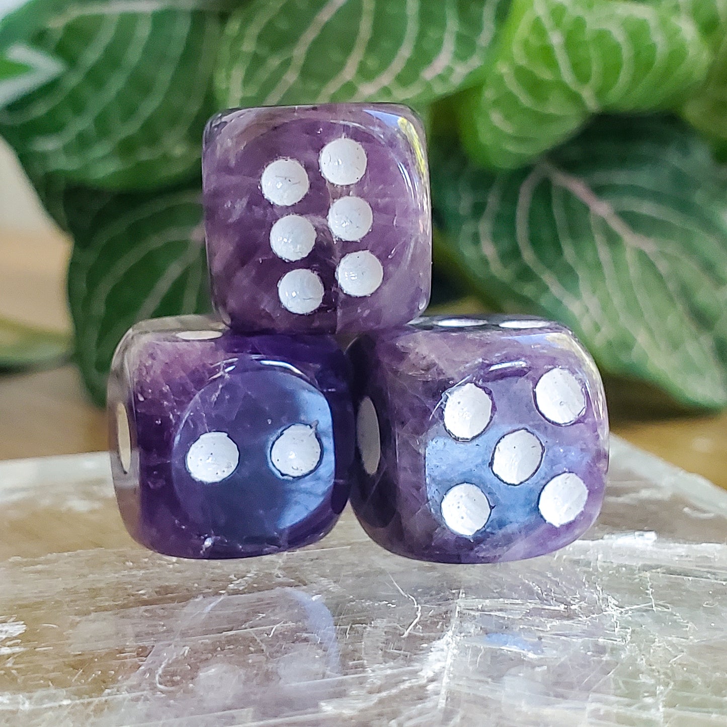 Dream Amethyst - Dice