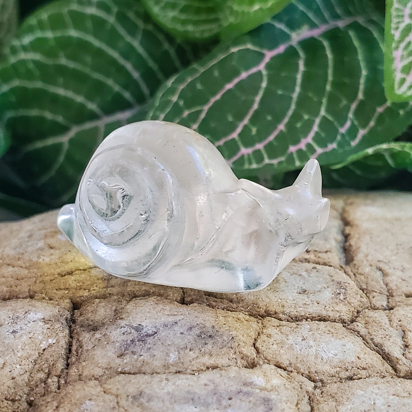 Snails - Rose Quartz, Quartz, & Tiger Eye - Small