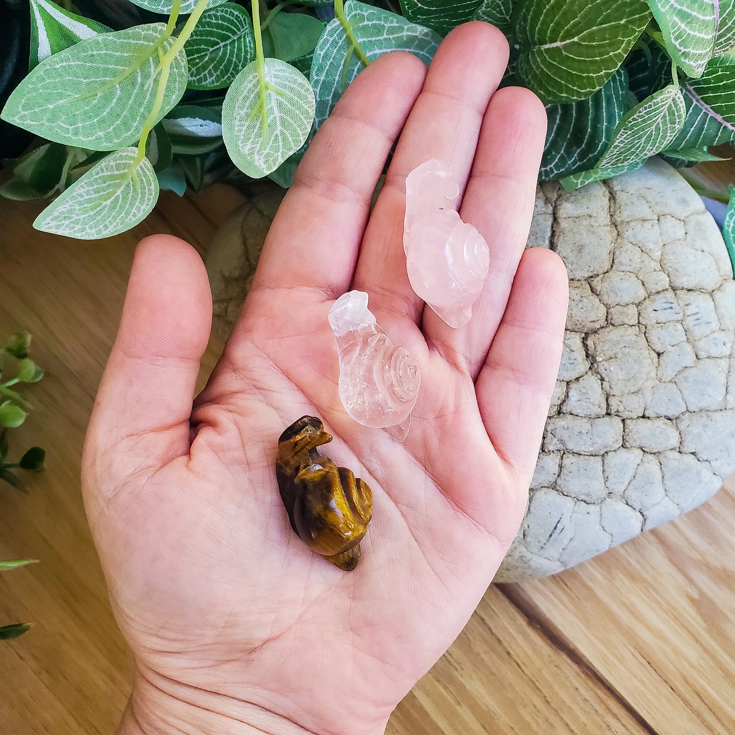Snails - Rose Quartz, Quartz, & Tiger Eye - Small
